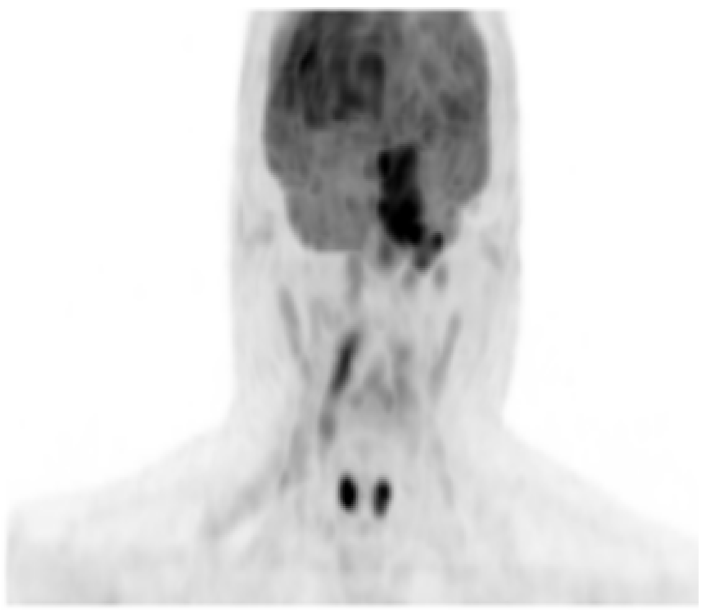 Curroncol 29 00399 g002