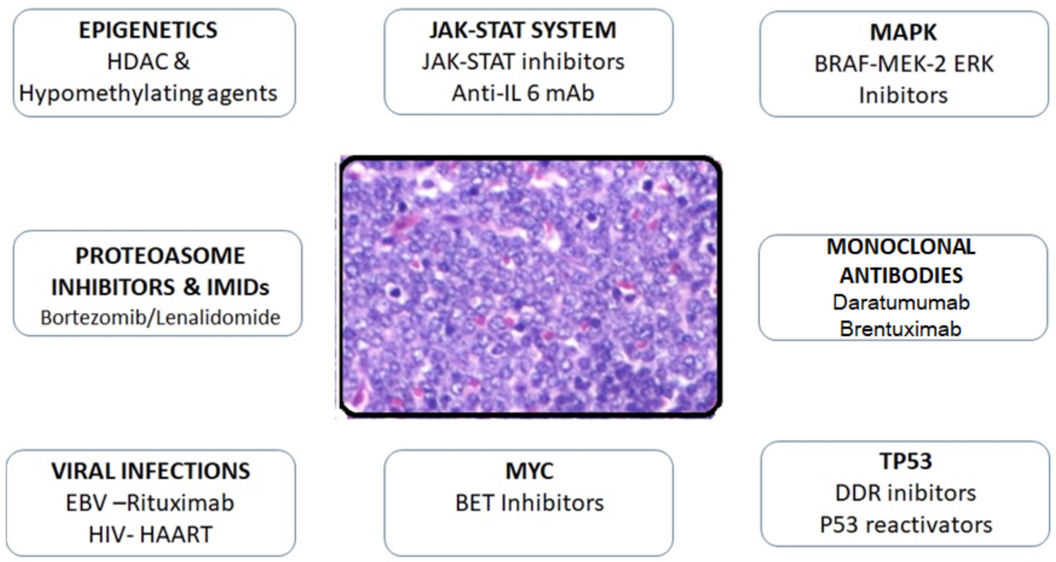 Curroncol 29 00399 g006