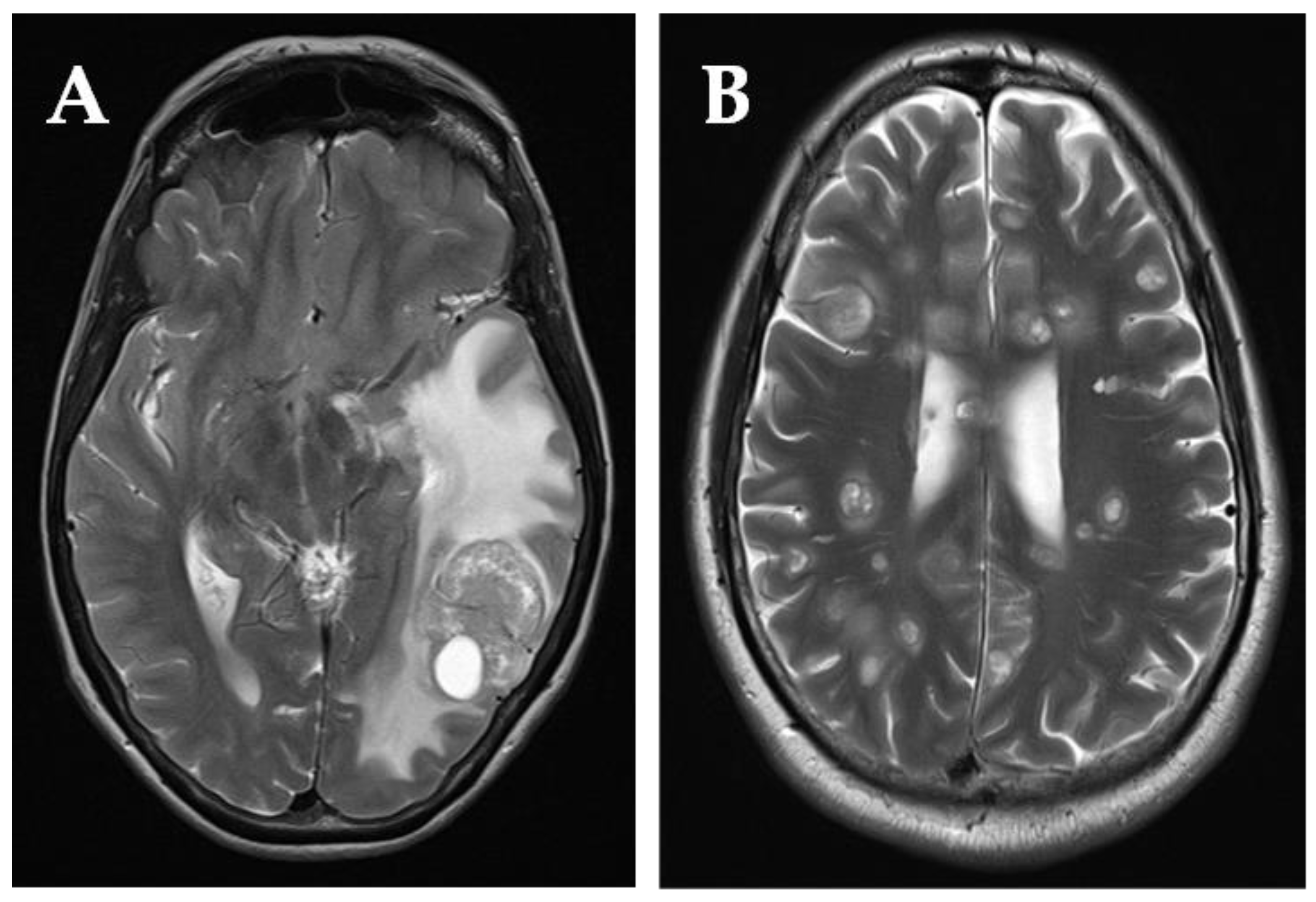 Curroncol 29 00405 g002