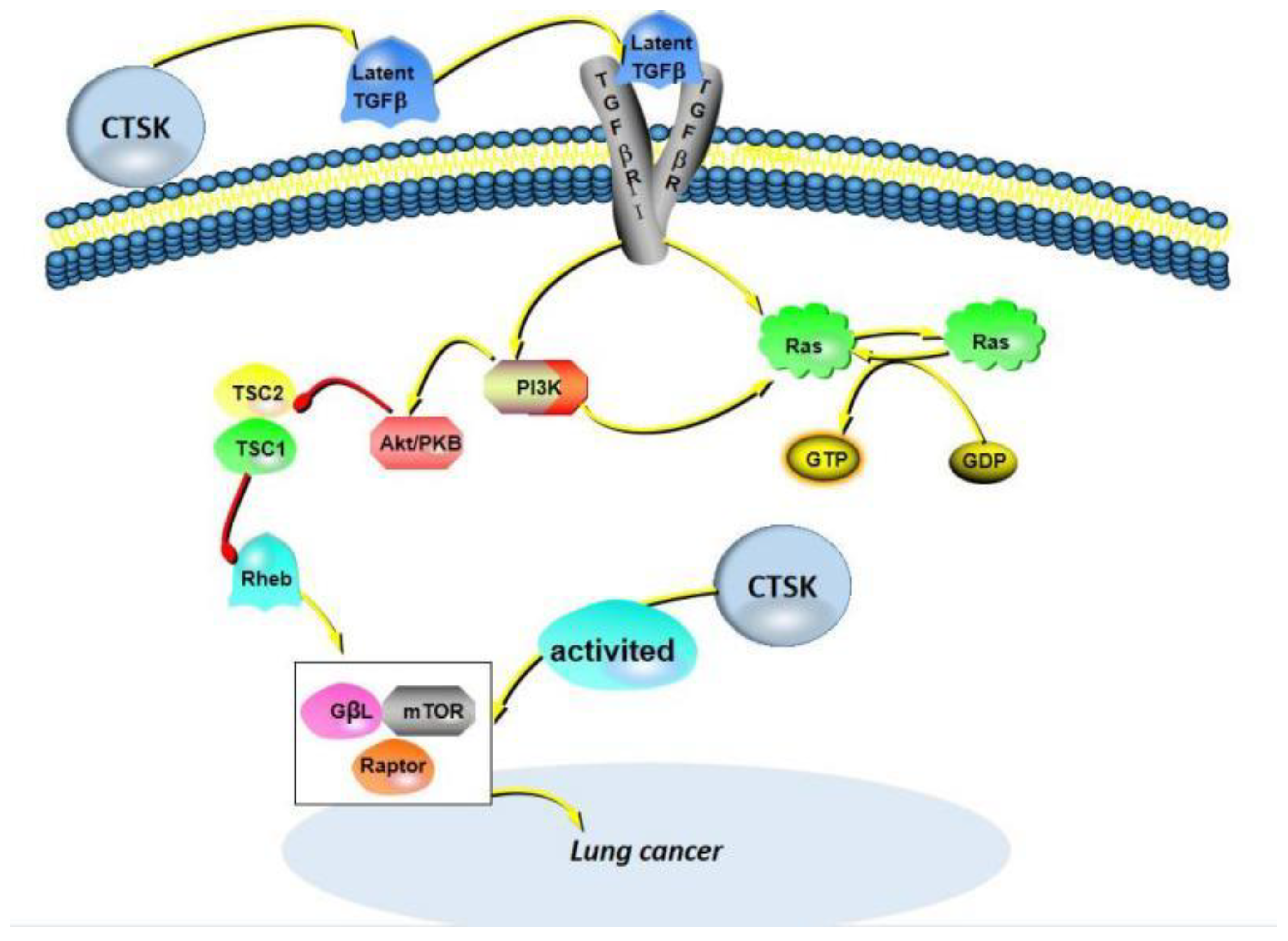 Curroncol 29 00471 g005