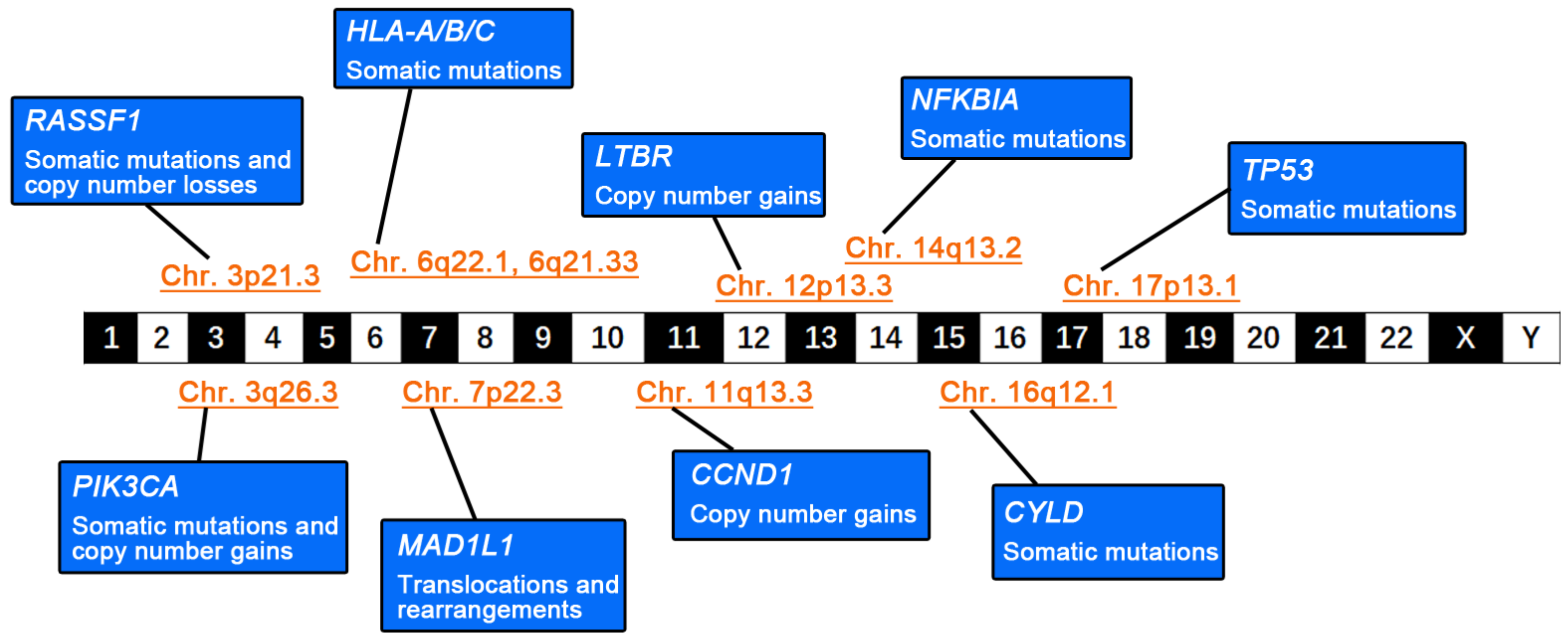 Curroncol 29 00475 g001