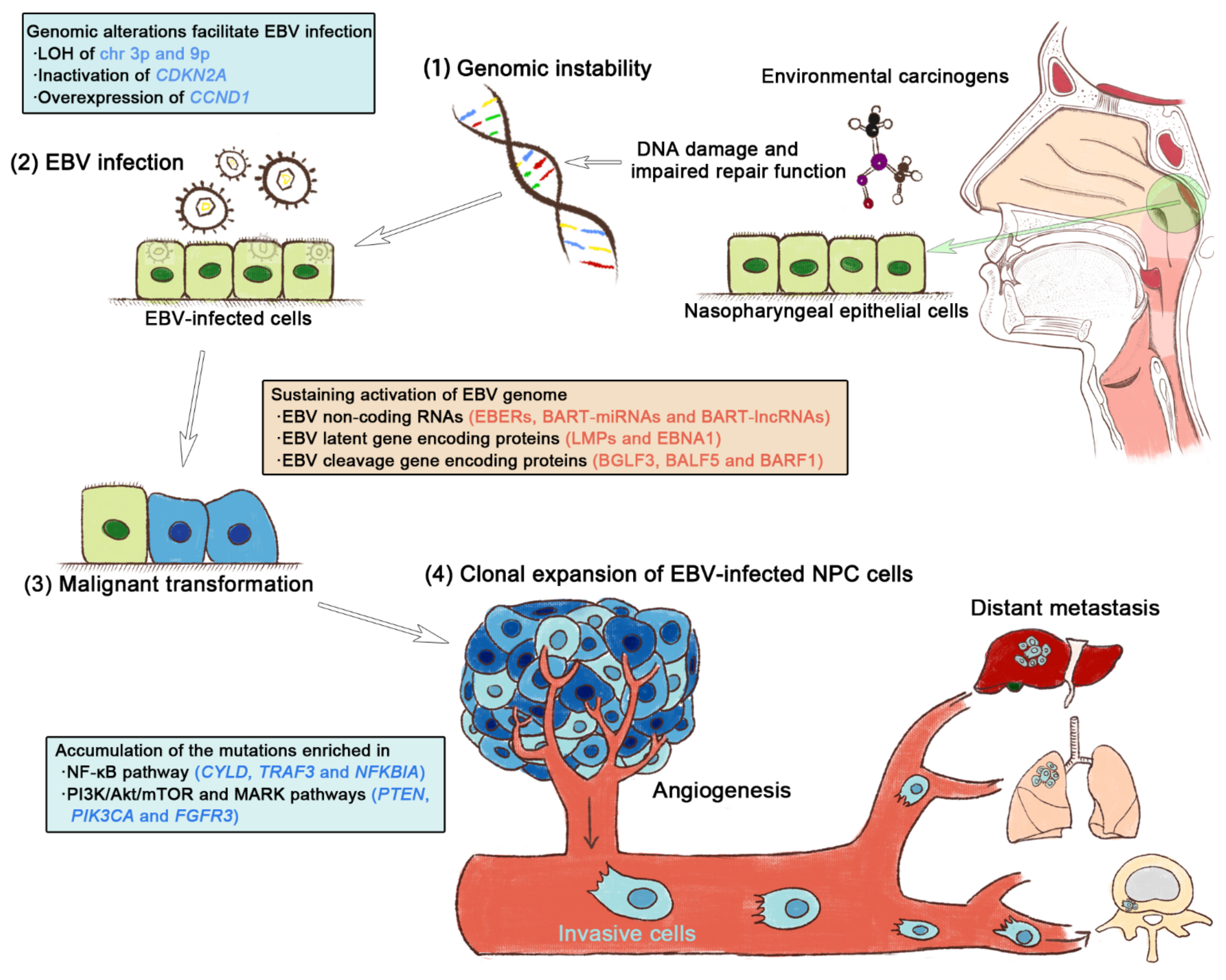 Curroncol 29 00475 g002