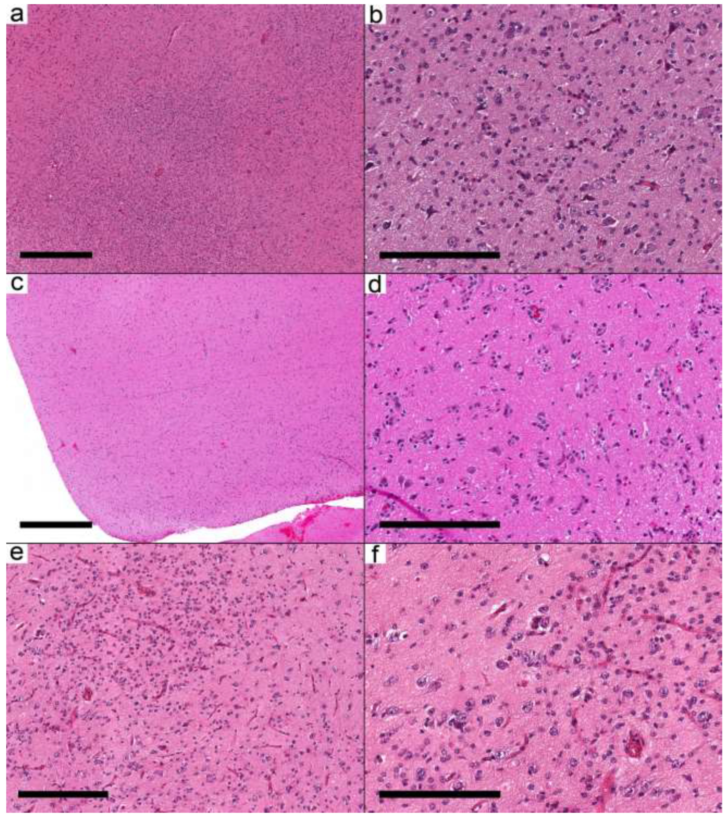 Curroncol 29 00532 g002
