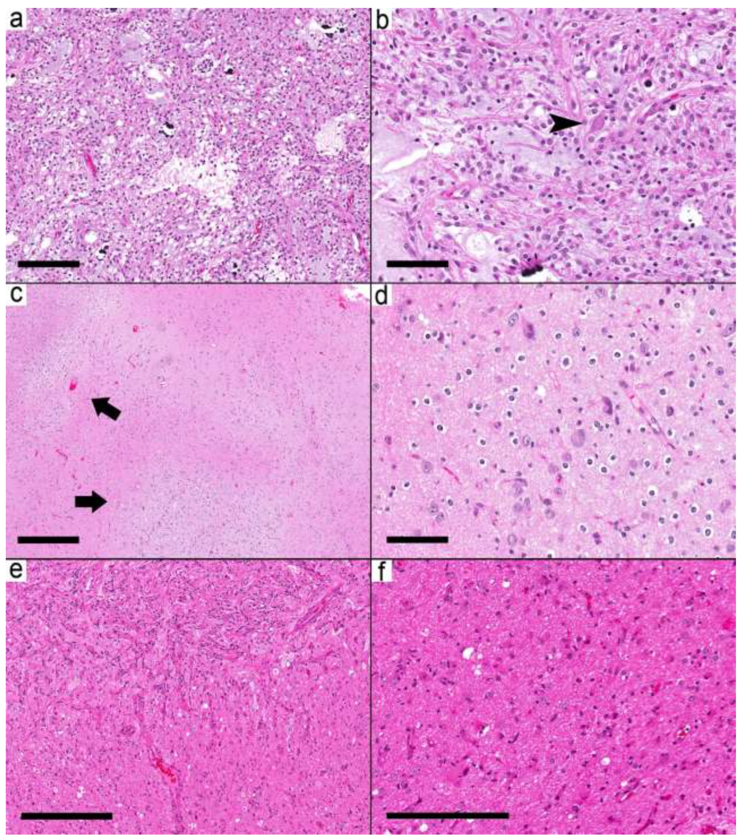 Curroncol 29 00532 g004