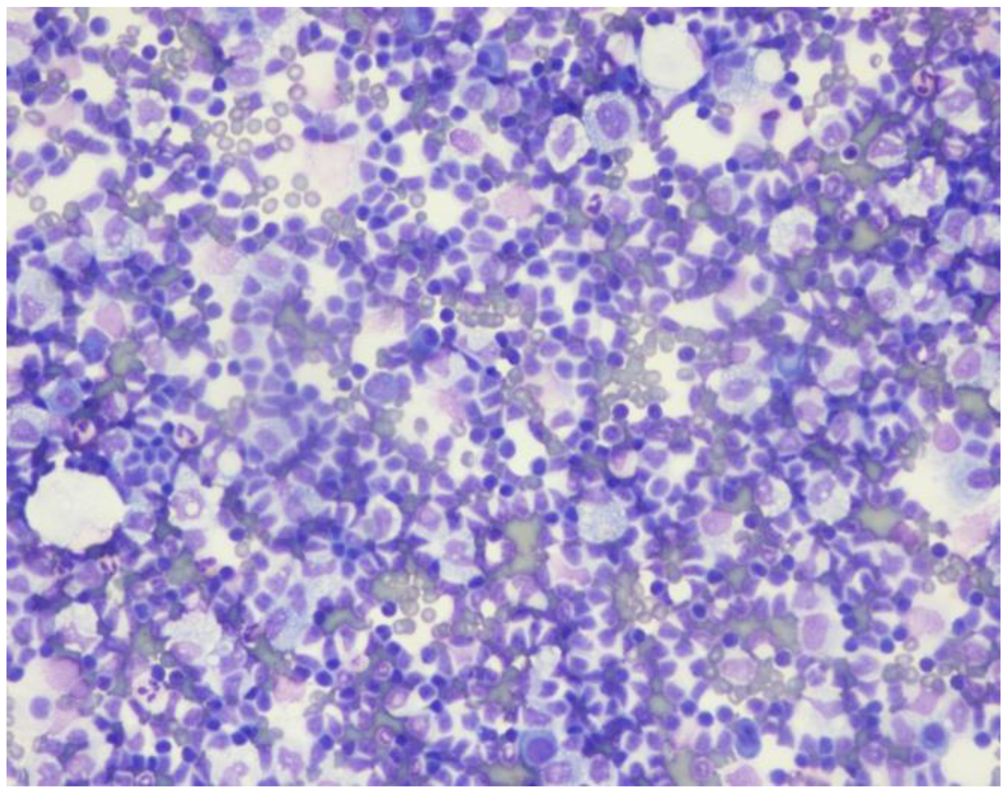 Curroncol 29 00534 g001