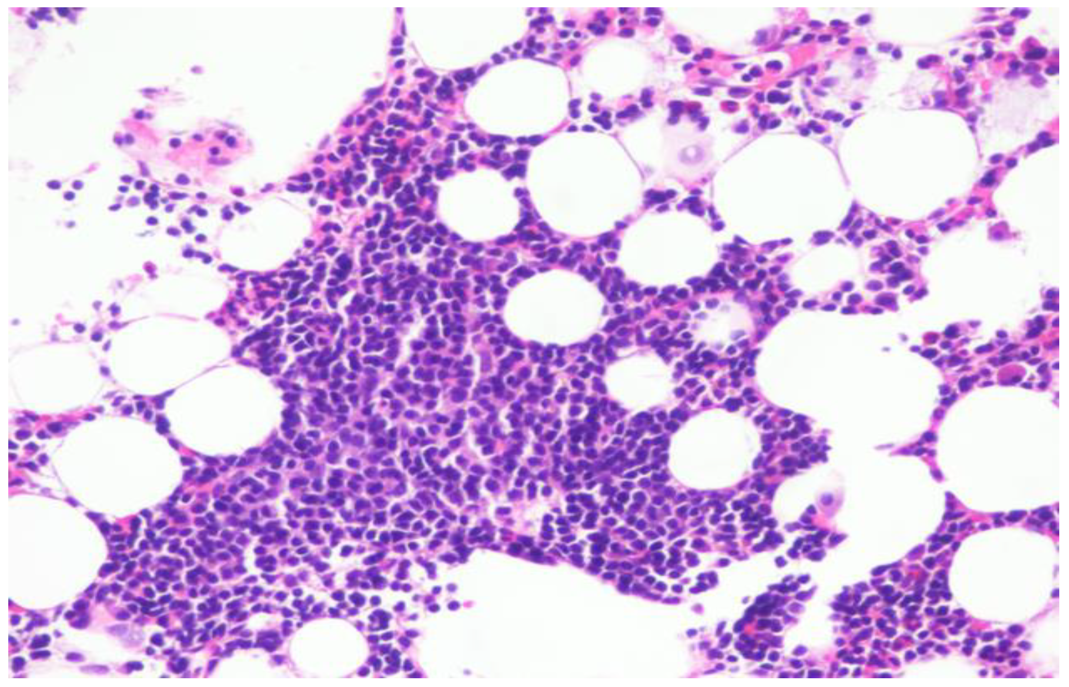 Curroncol 29 00534 g003