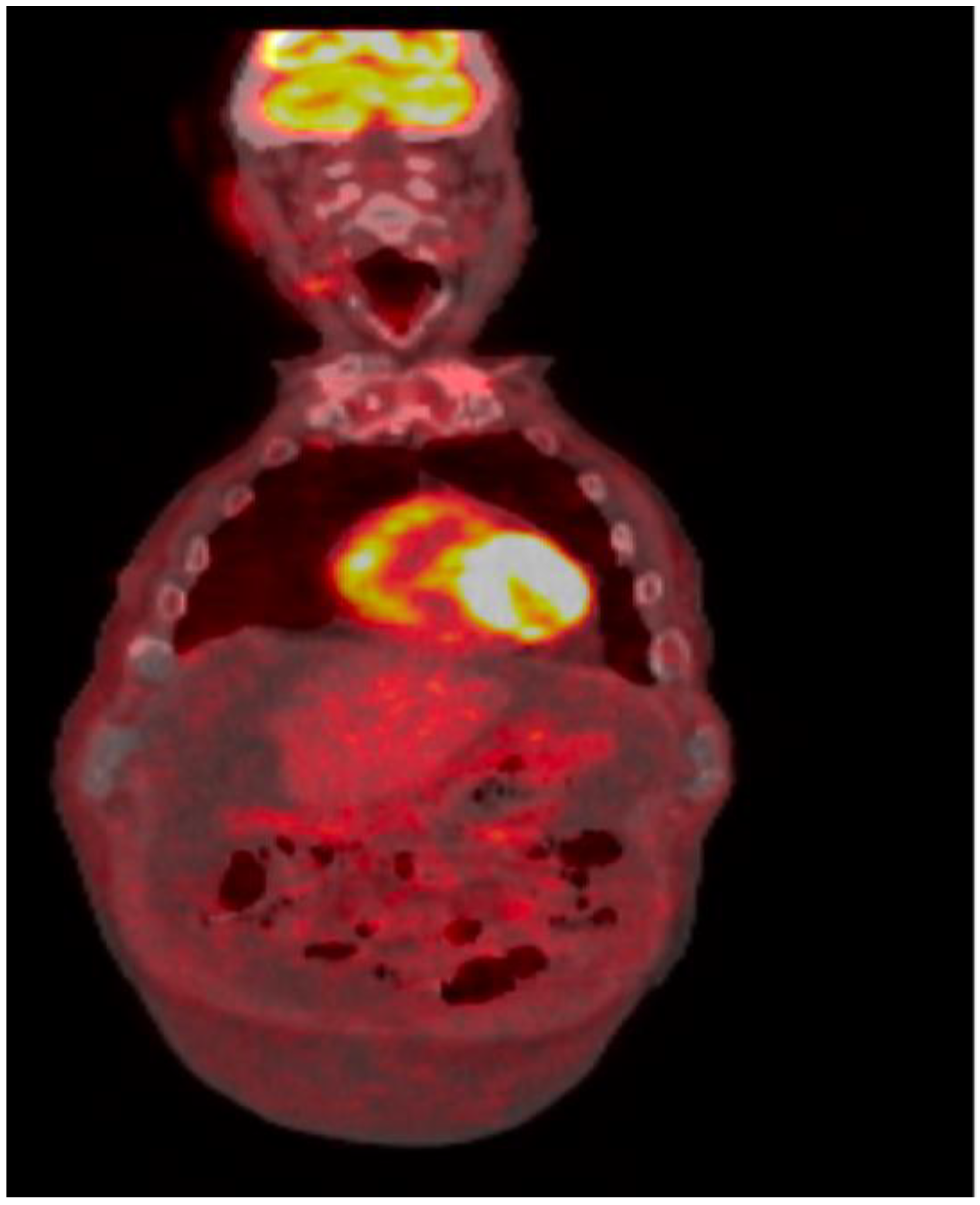 Curroncol 29 00534 g004