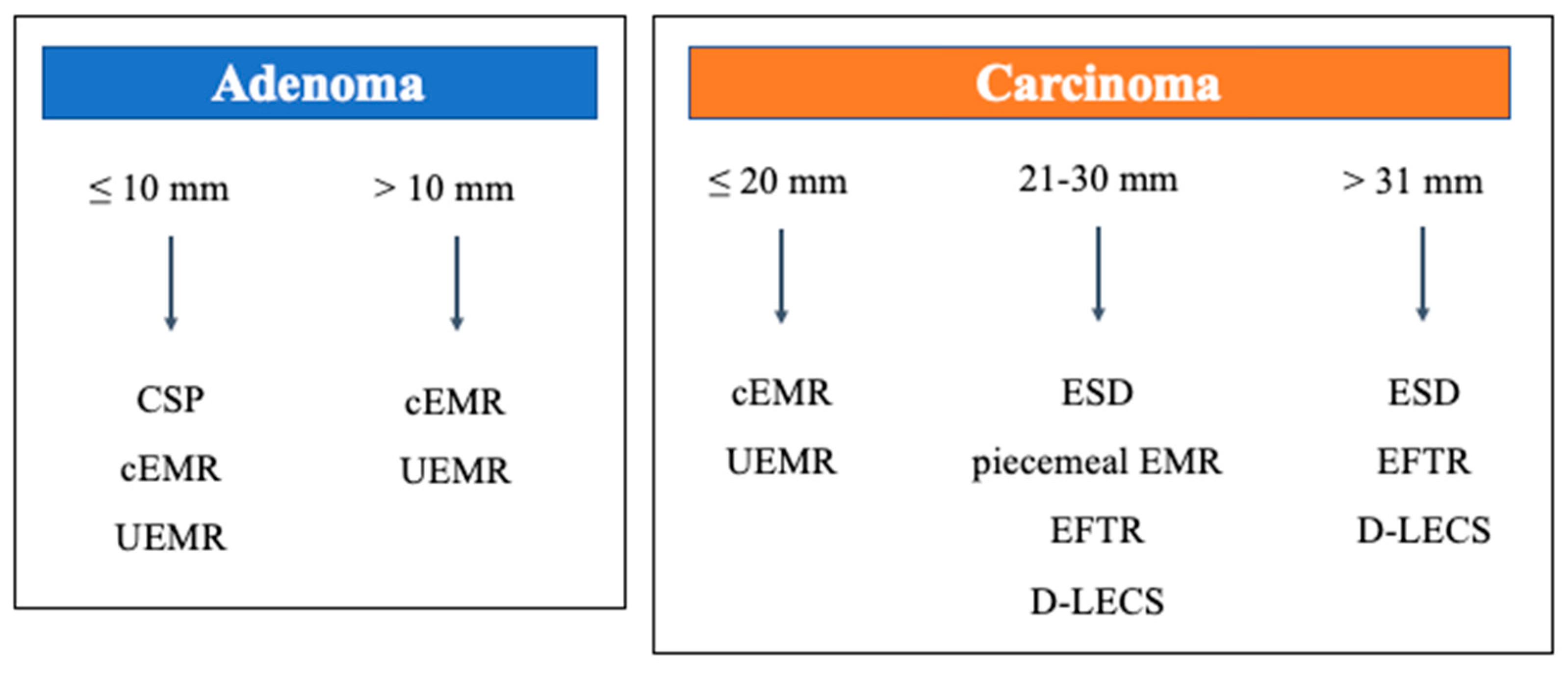 Curroncol 29 00537 g001