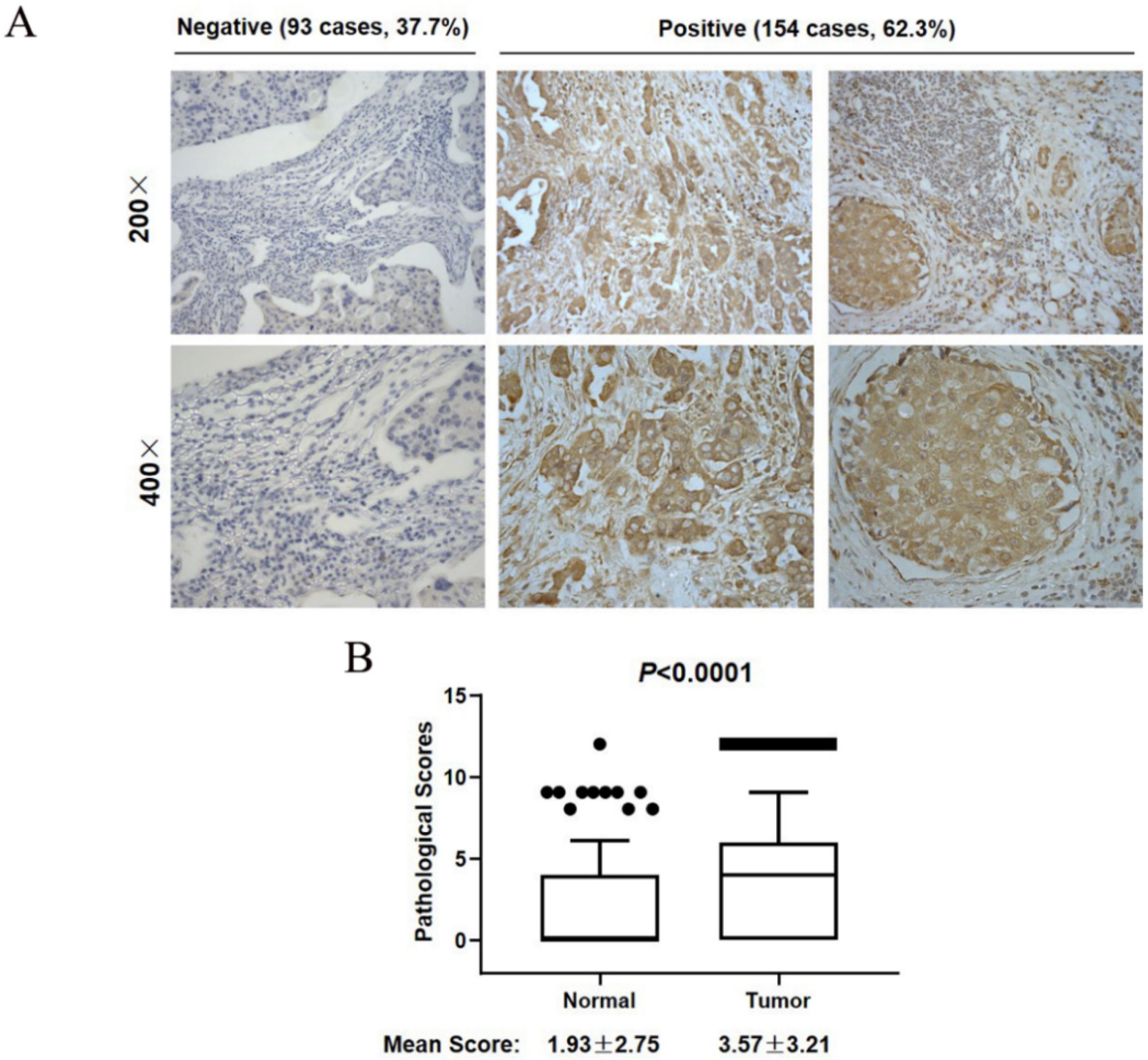 Curroncol 29 00544 g002