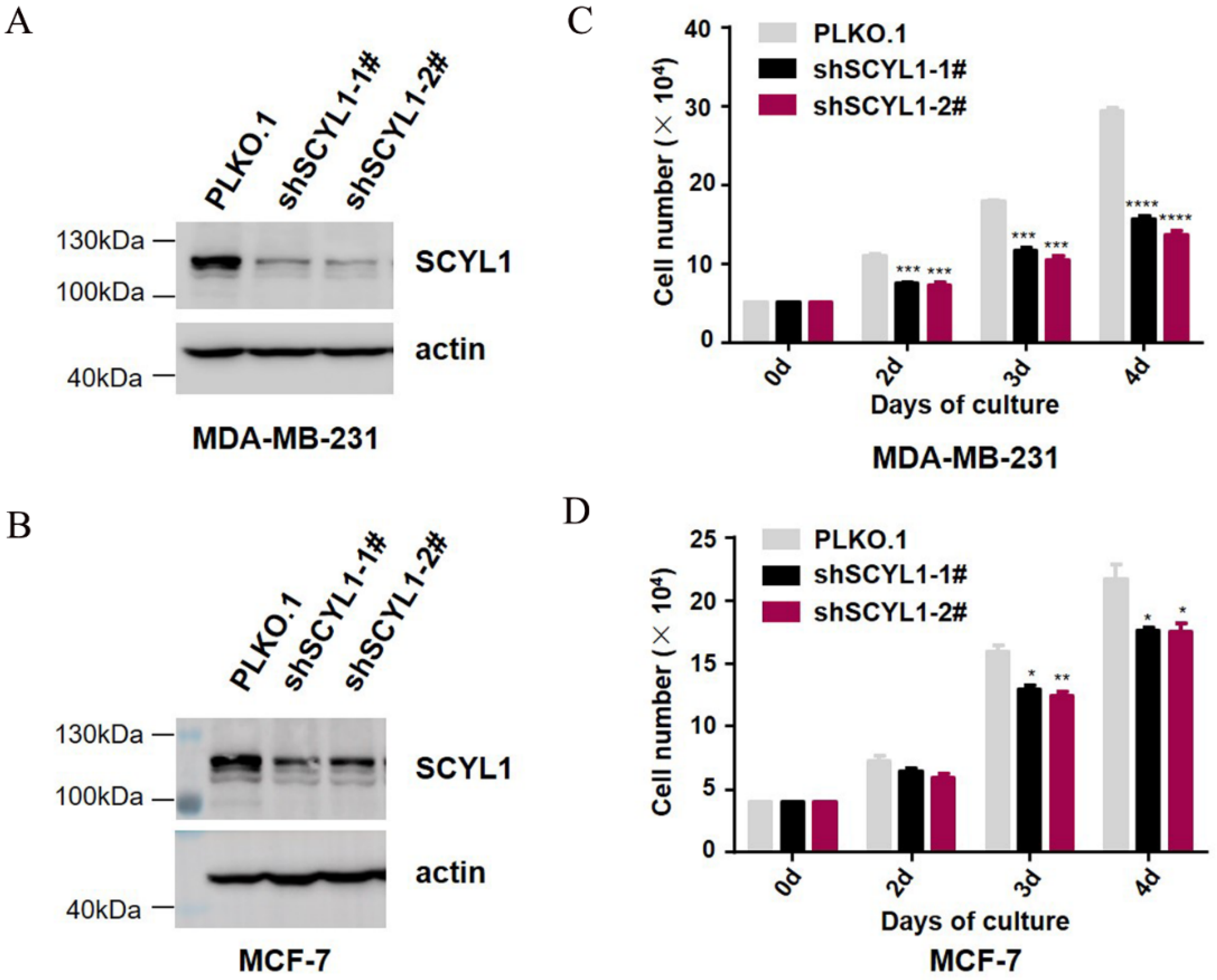 Curroncol 29 00544 g004