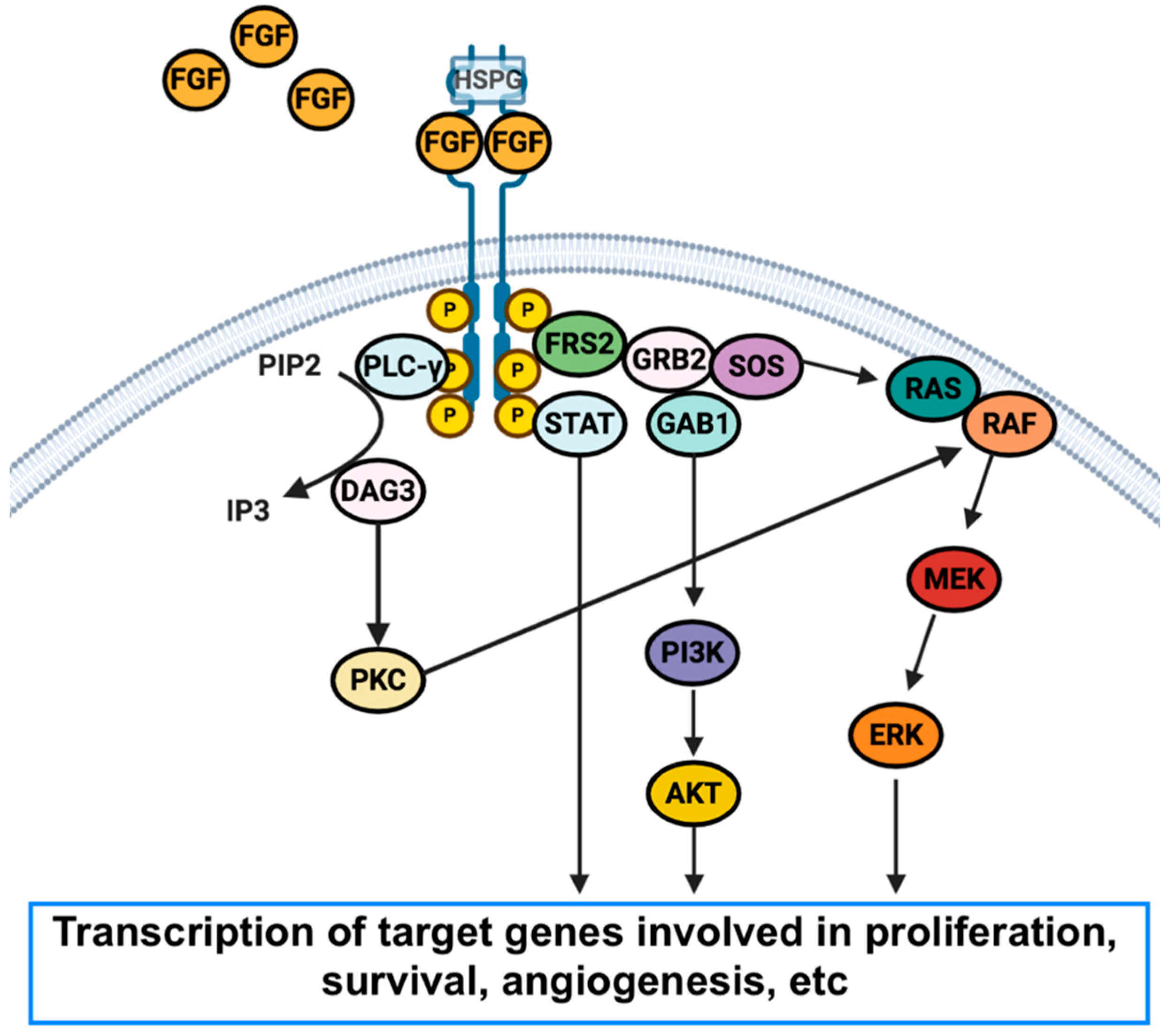 Curroncol 29 00626 g001