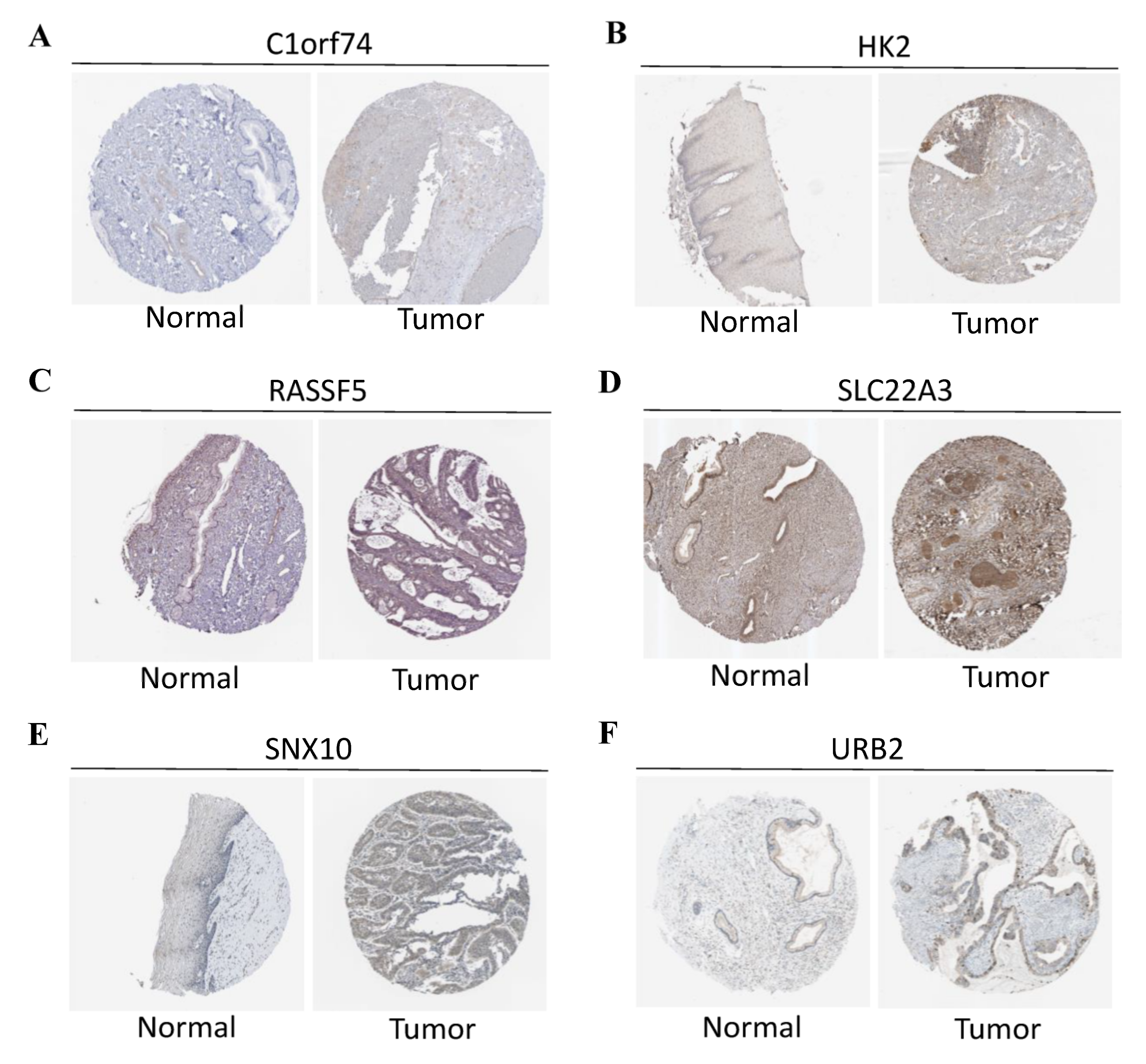 Curroncol 29 00633 g007