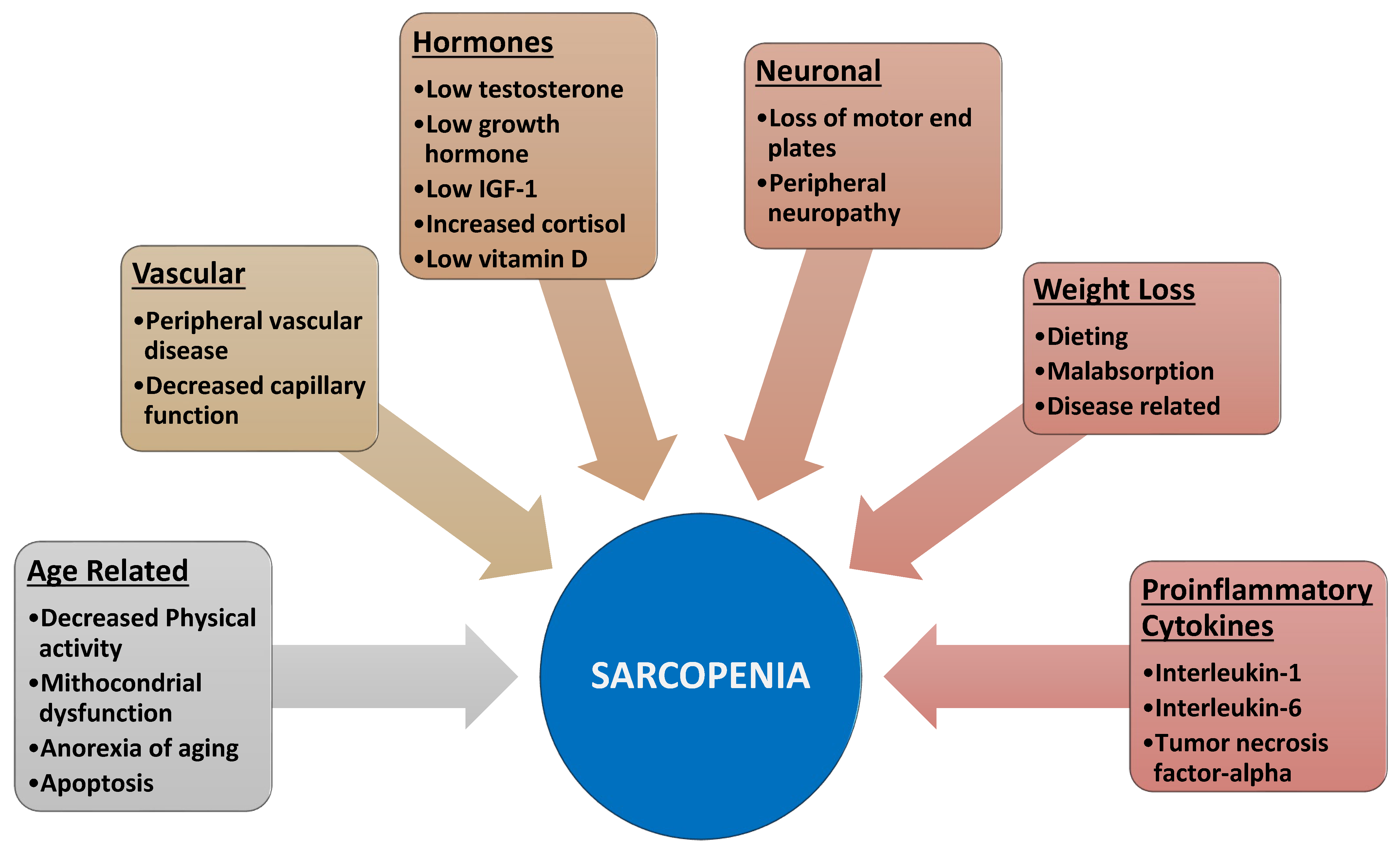 Curroncol 29 00671 g001 Curroncol 29 00671 g001