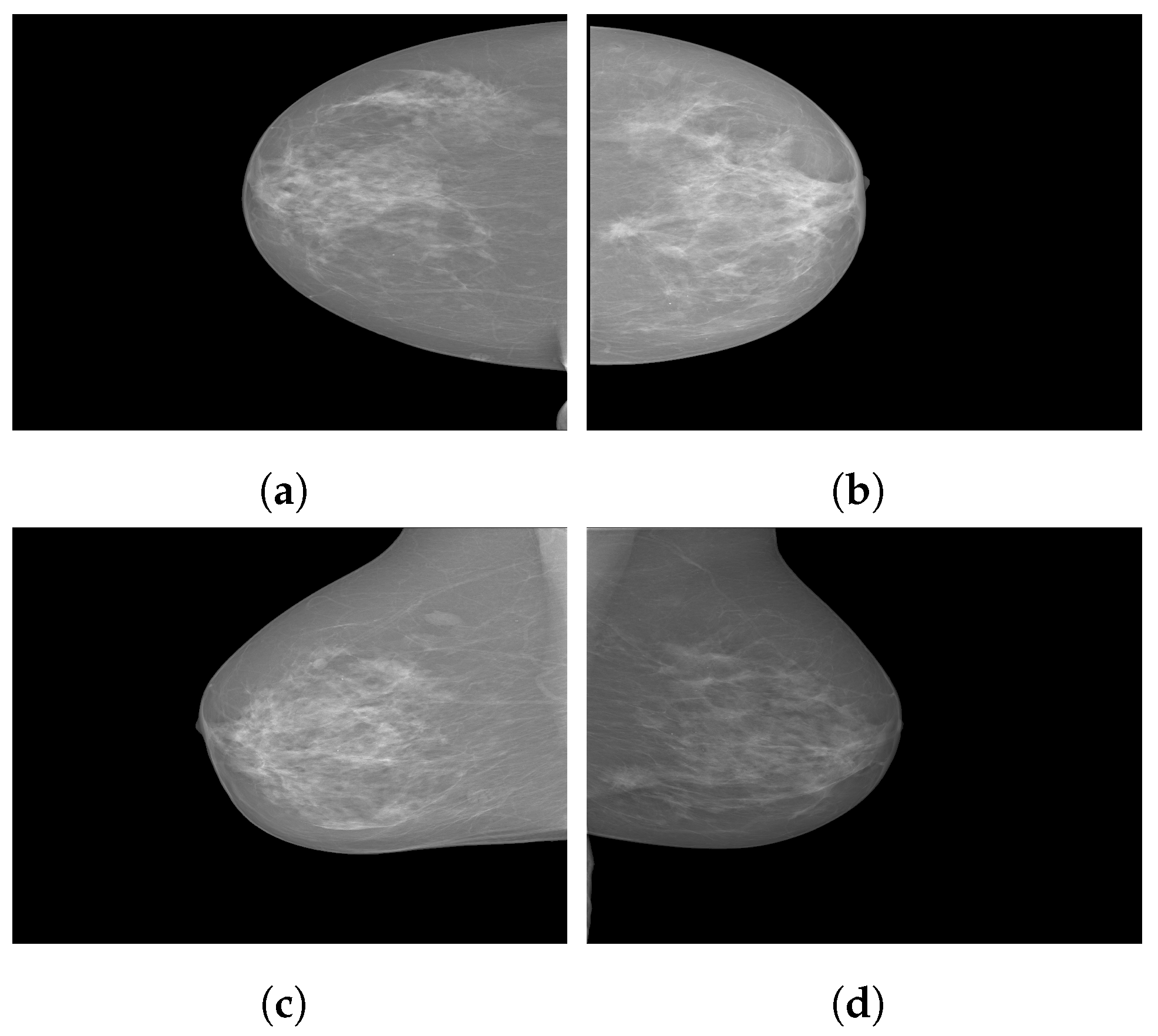 Curroncol 29 00690 g003