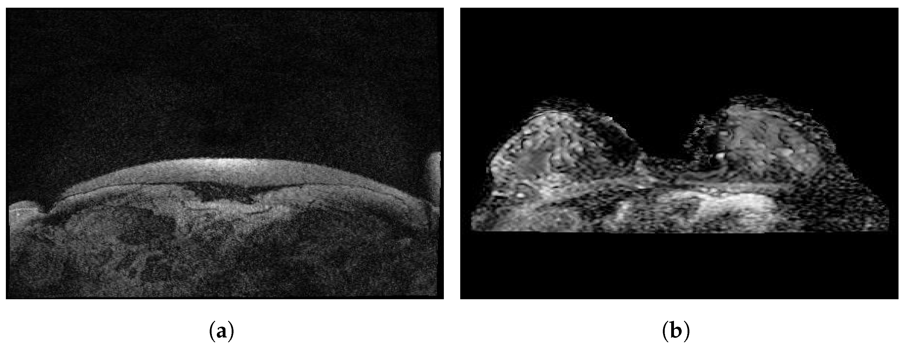 Curroncol 29 00690 g007