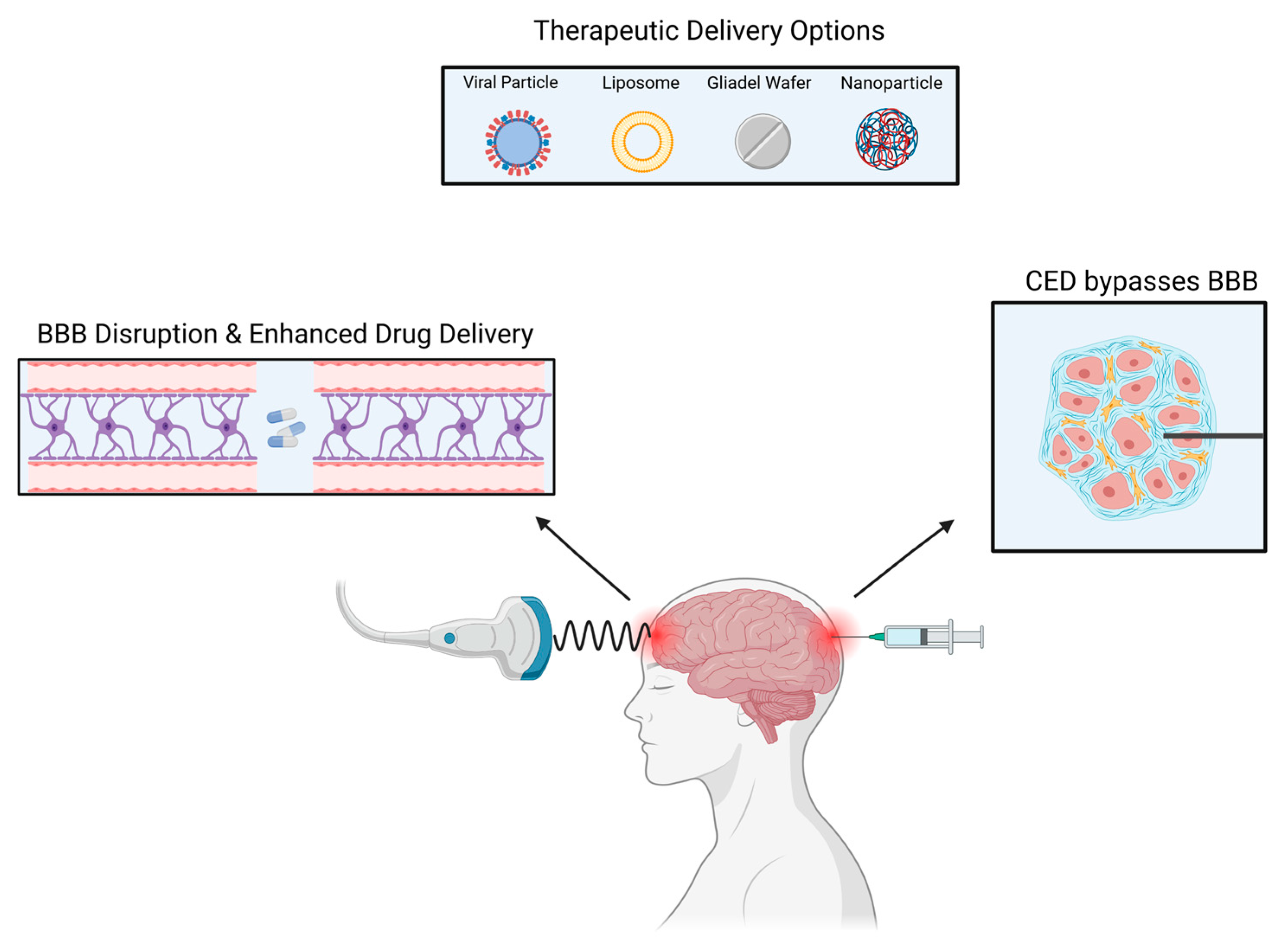 Curroncol 29 00696 g002