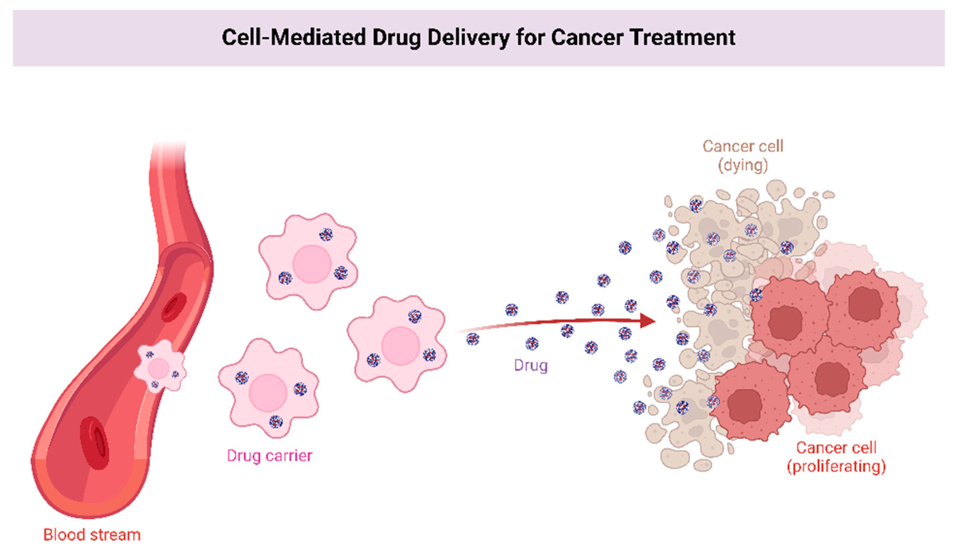 Curroncol 29 00696 g003