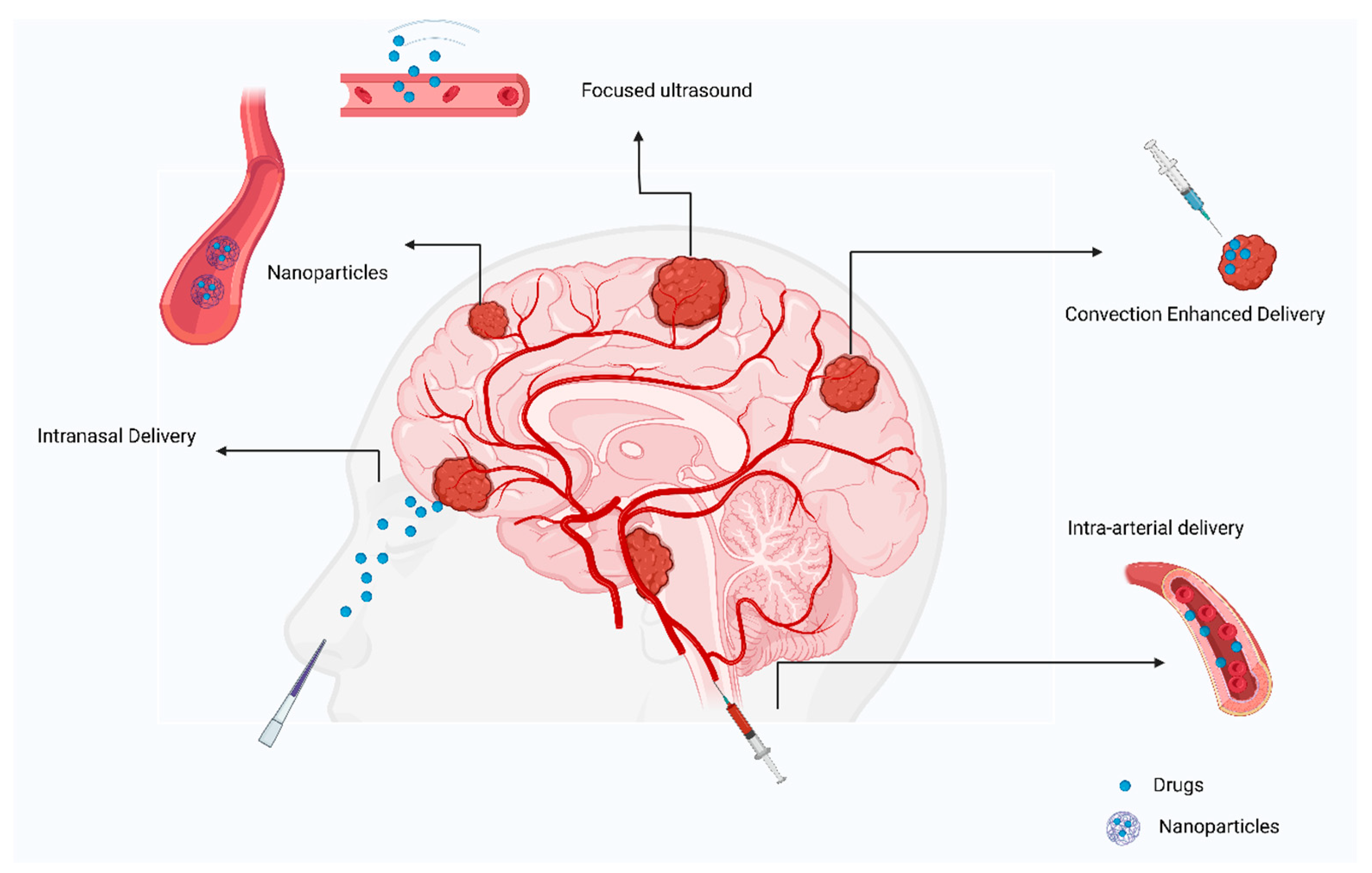 Curroncol 29 00696 g004