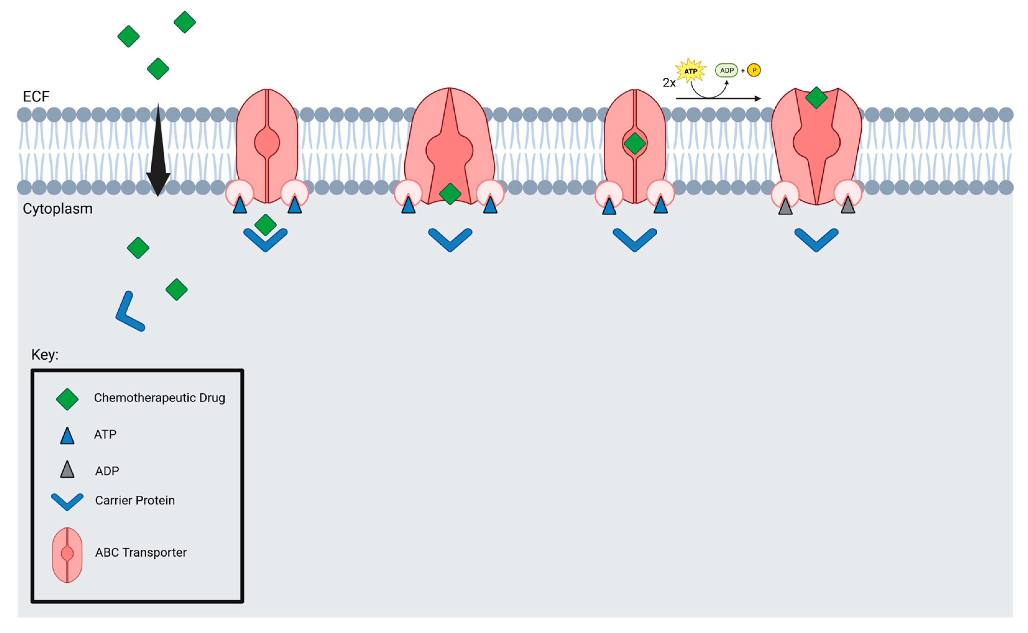 Curroncol 29 00696 g005
