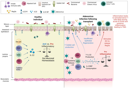 Curroncol 29 00783 g005 550