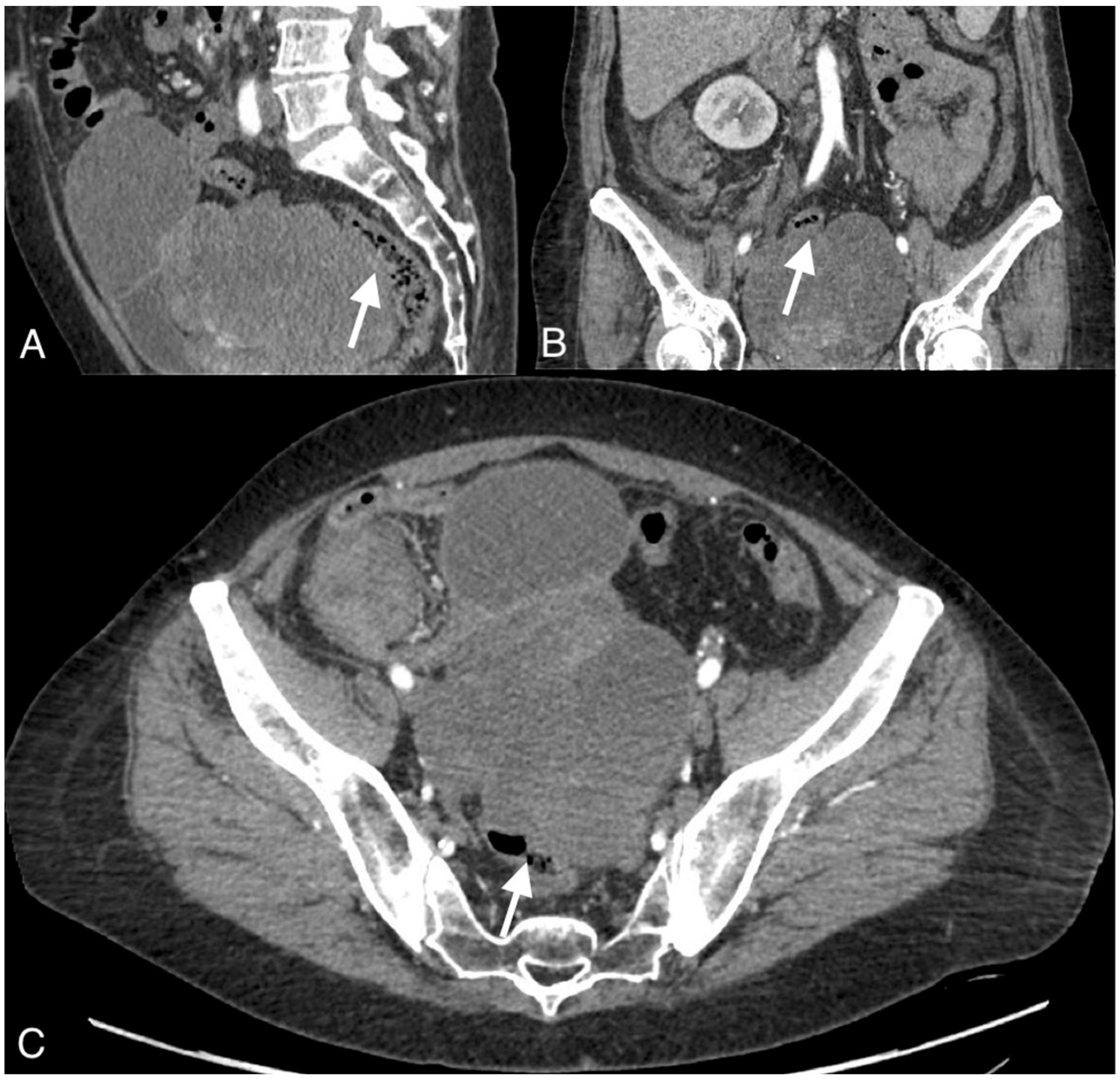 Curroncol 30 00040 g002