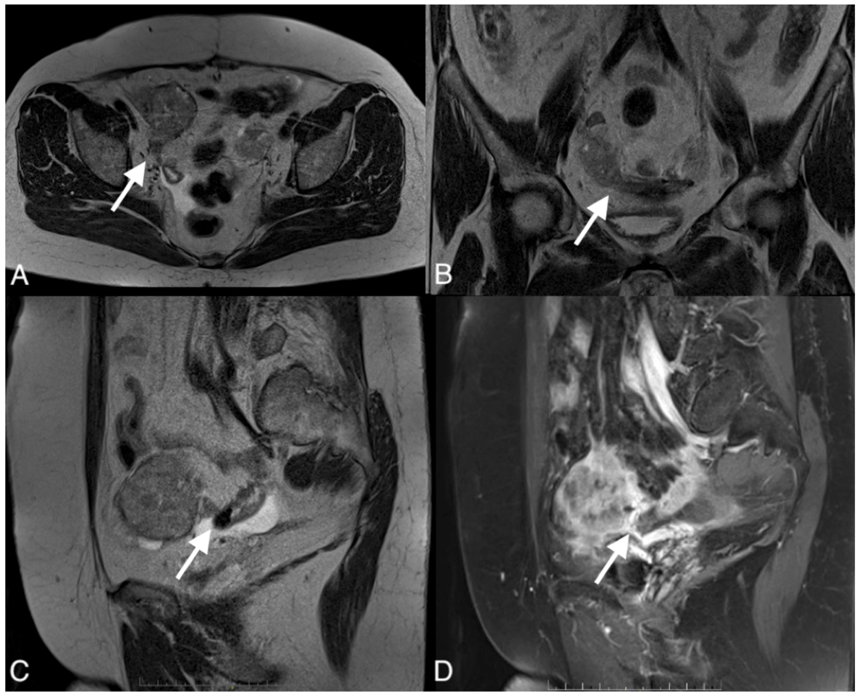 Curroncol 30 00040 g005
