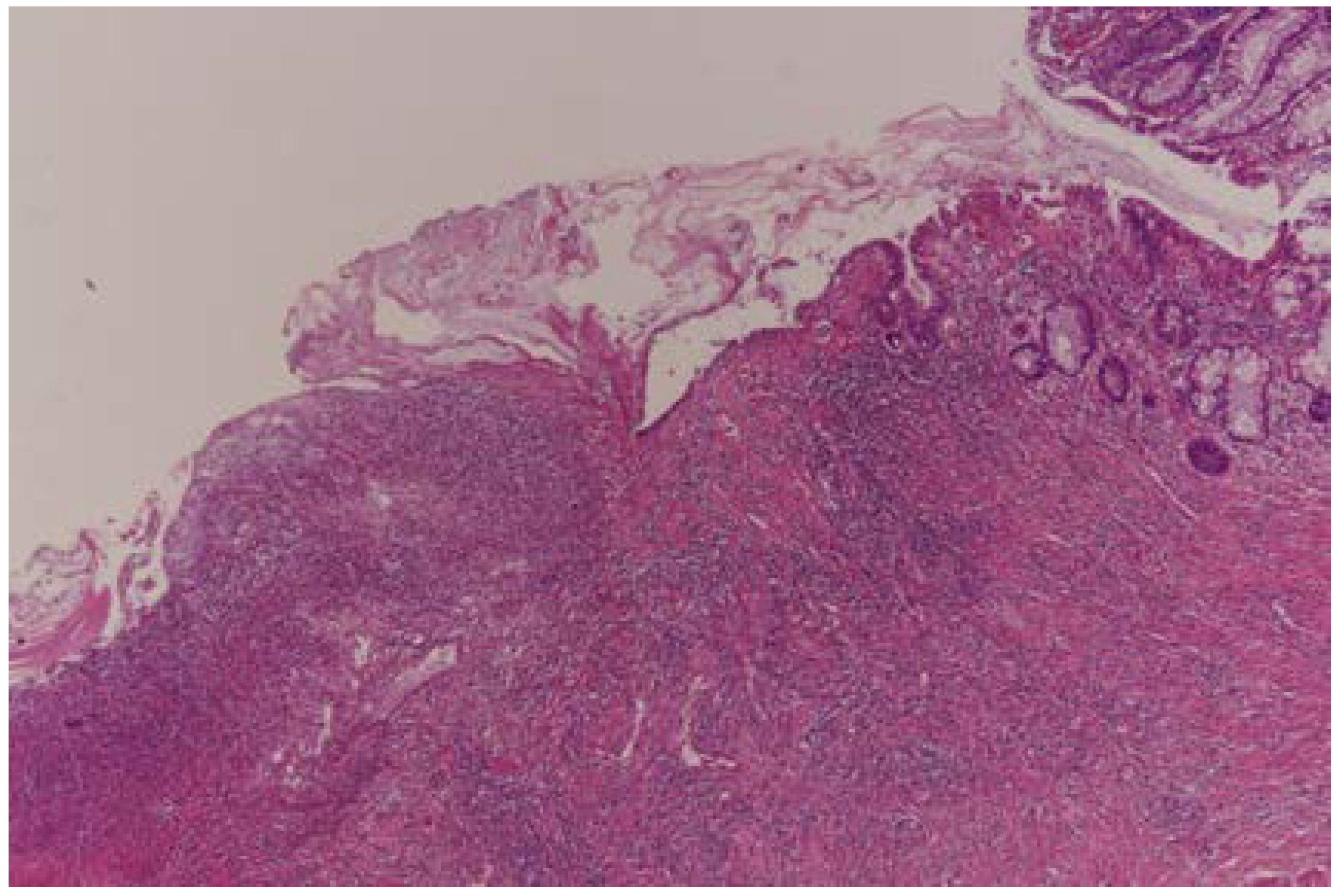 Curroncol 30 00081 g001