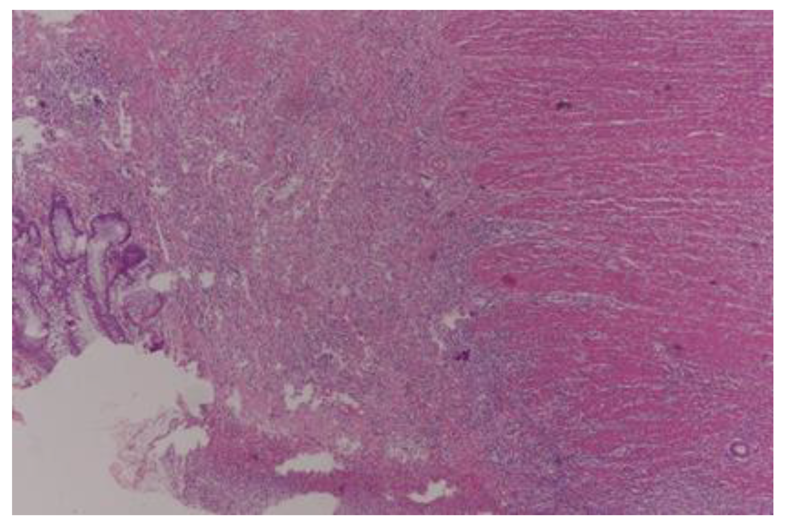 Curroncol 30 00081 g002