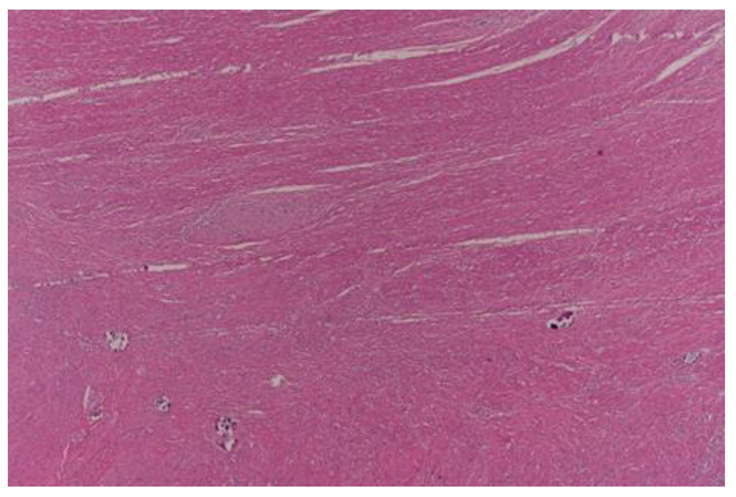 Curroncol 30 00081 g003