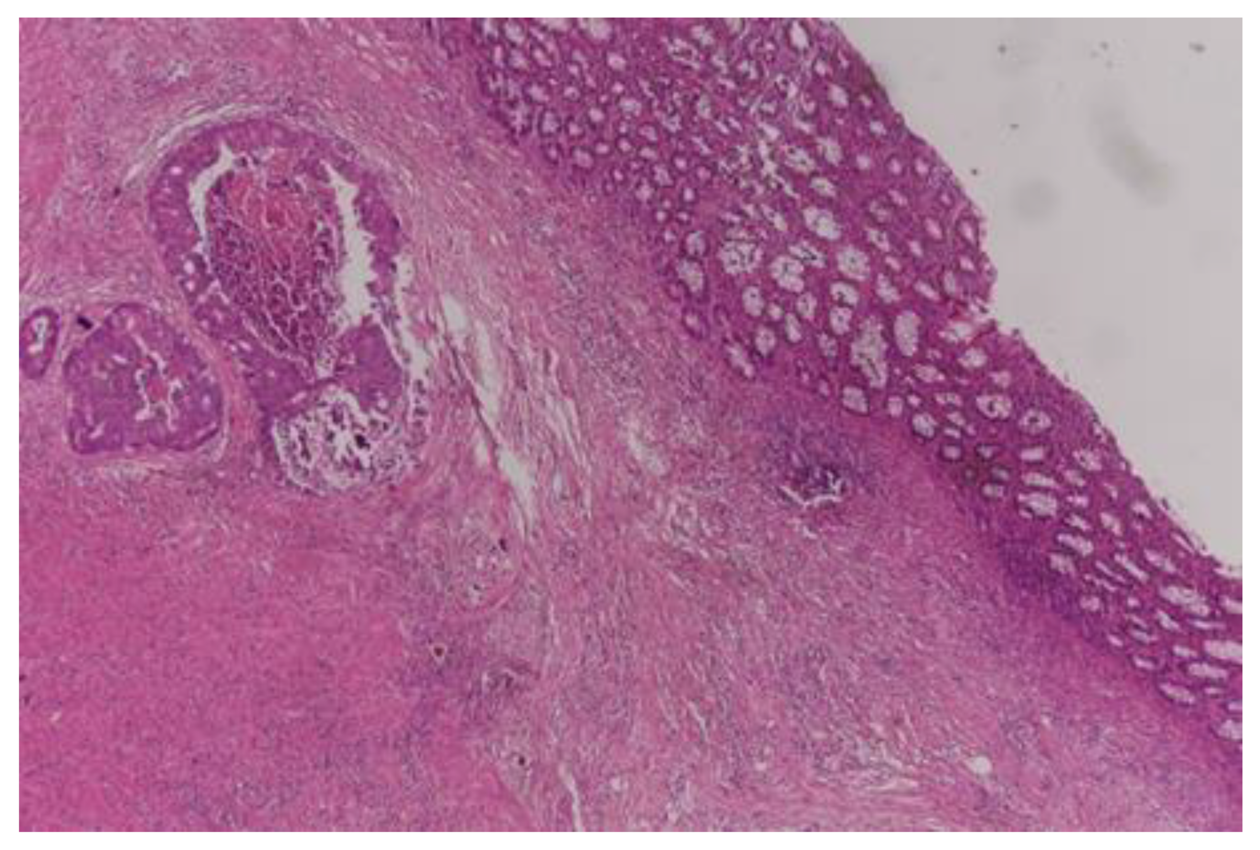 Curroncol 30 00081 g004