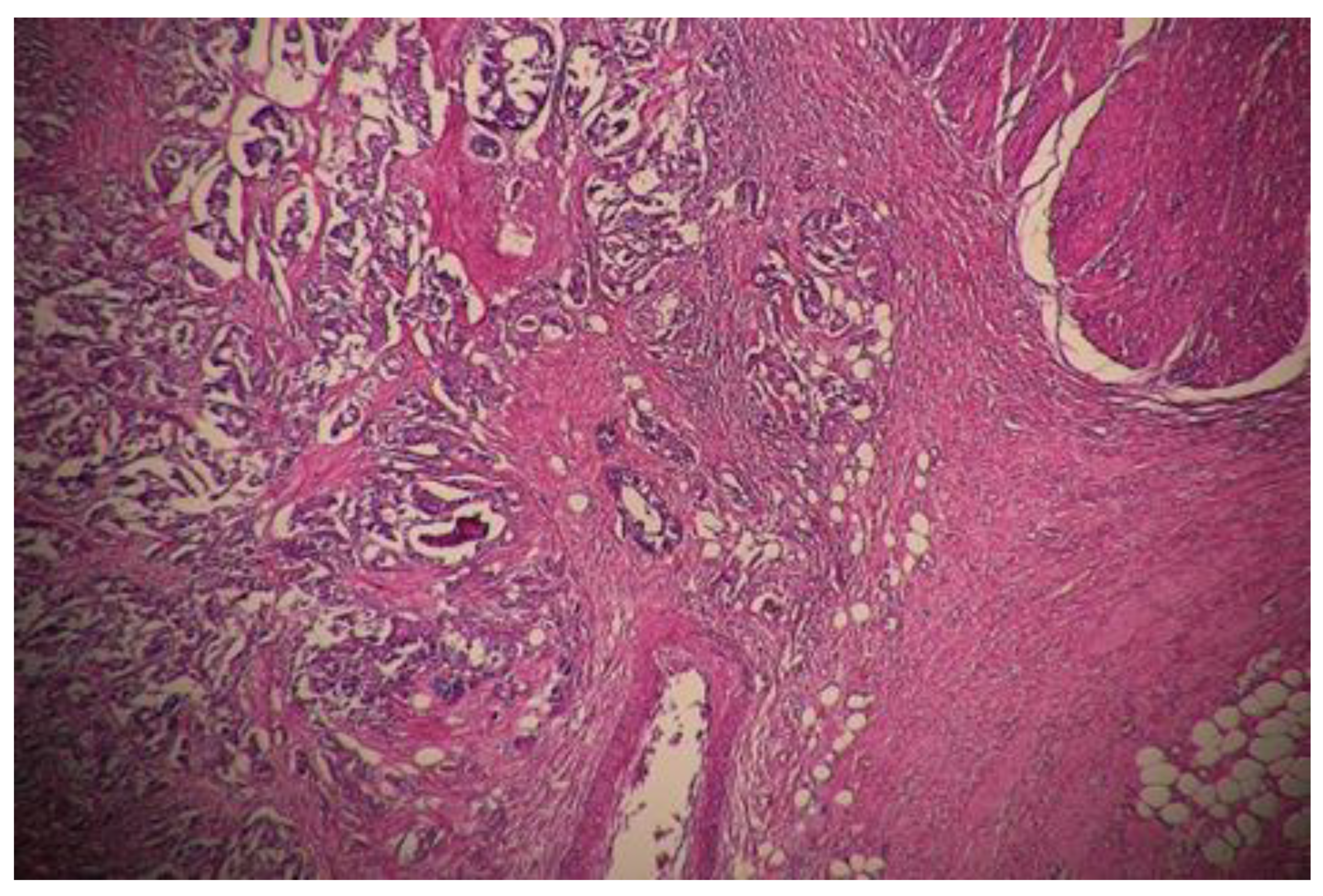 Curroncol 30 00081 g005