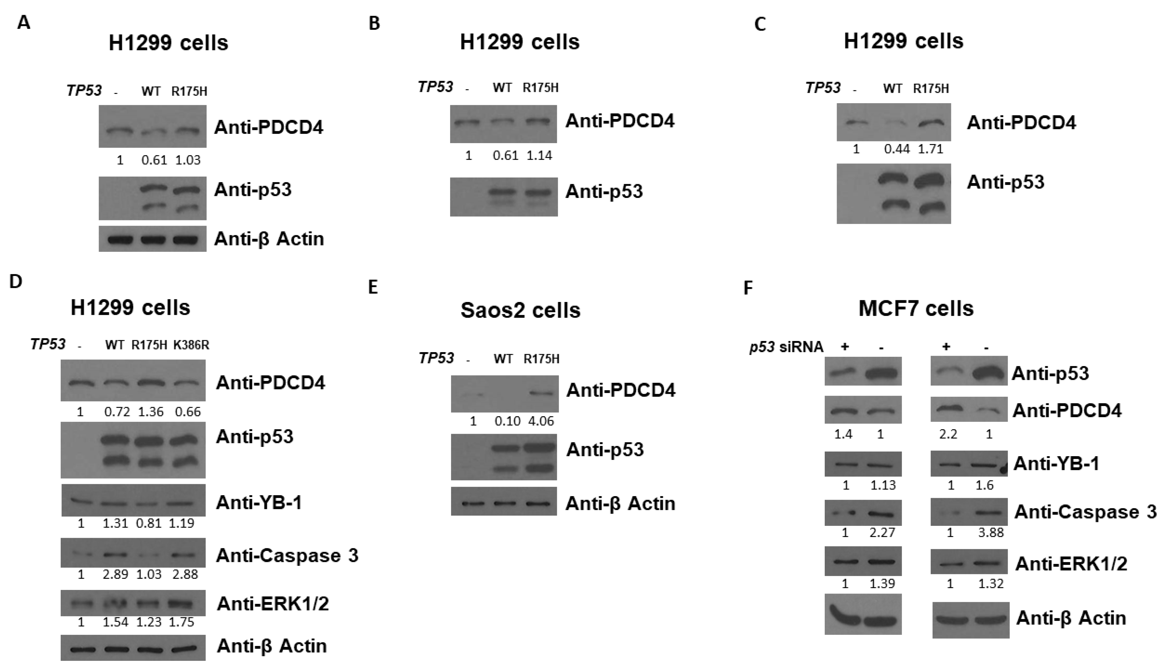 Curroncol 30 00124 g001