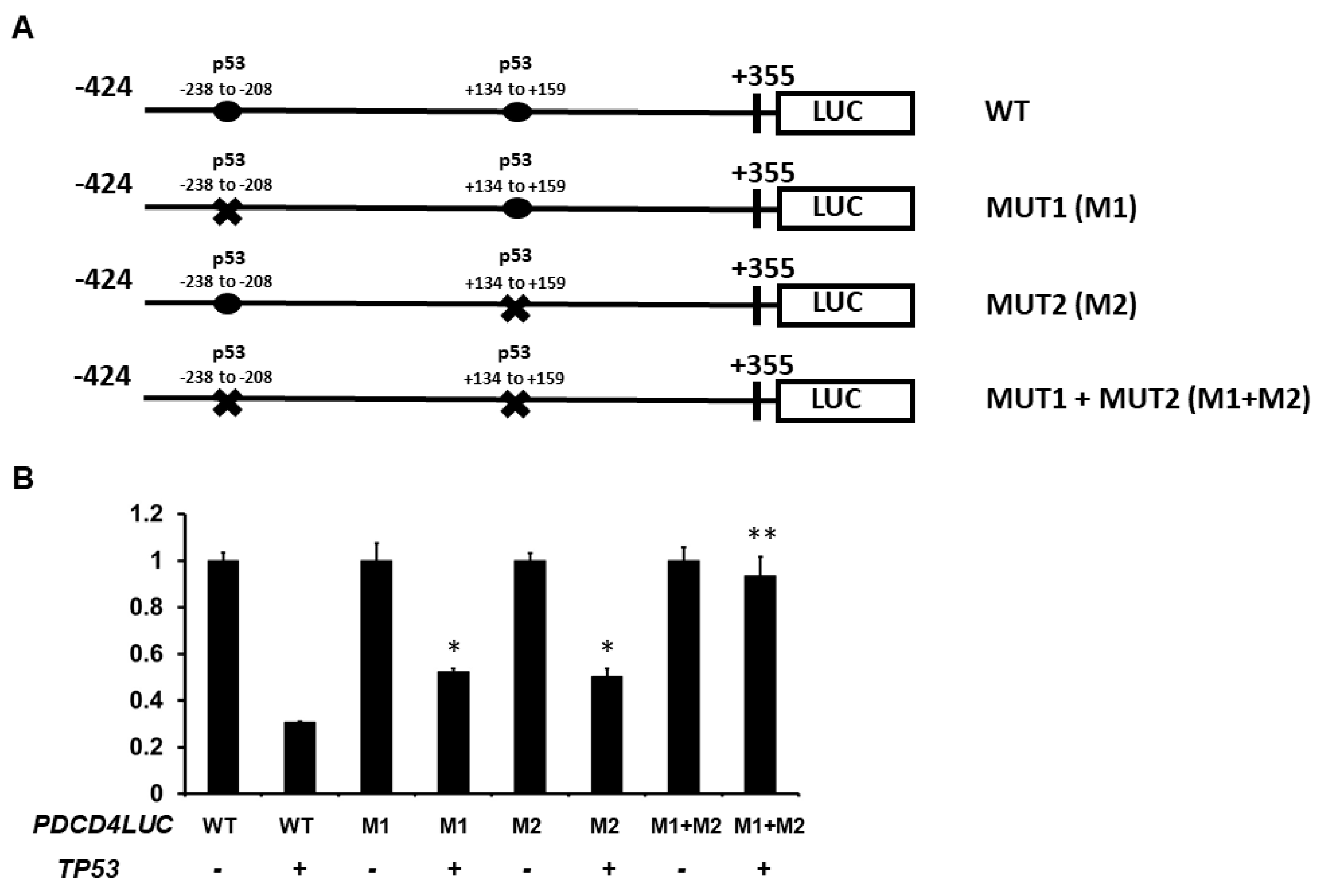 Curroncol 30 00124 g004