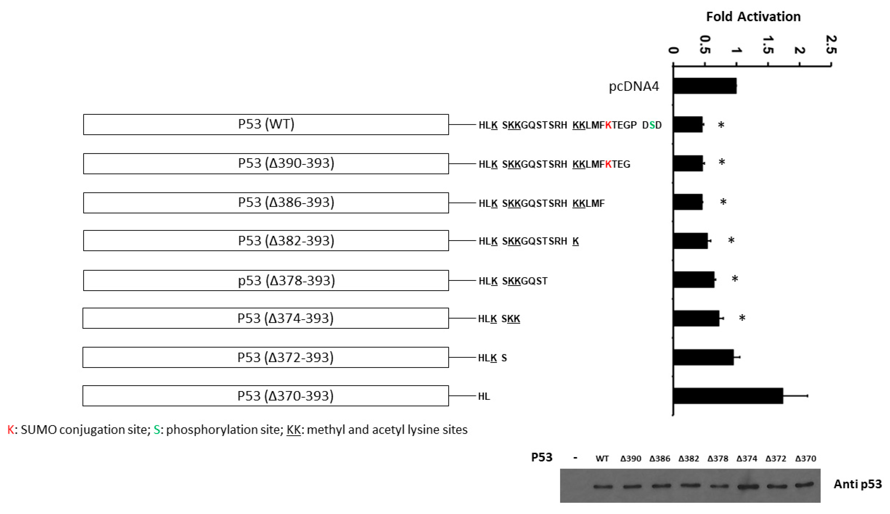 Curroncol 30 00124 g006