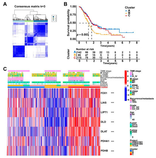 Curroncol 30 00126 g003