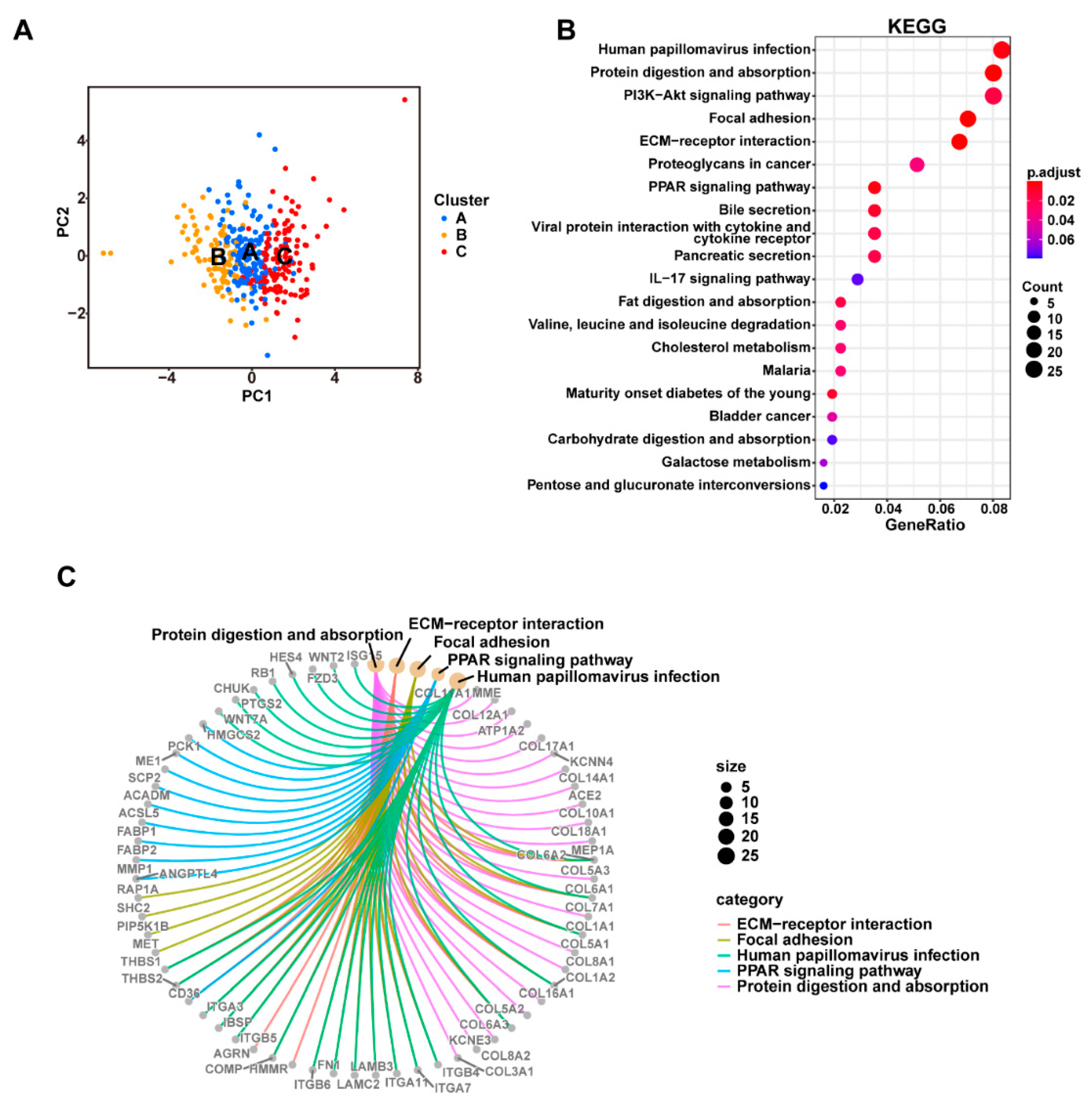 Curroncol 30 00126 g004