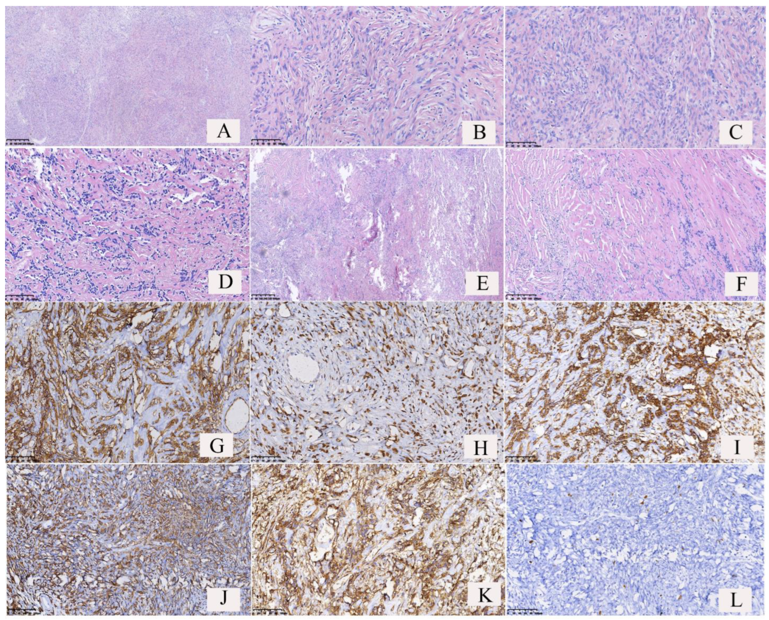 Curroncol 30 00138 g004