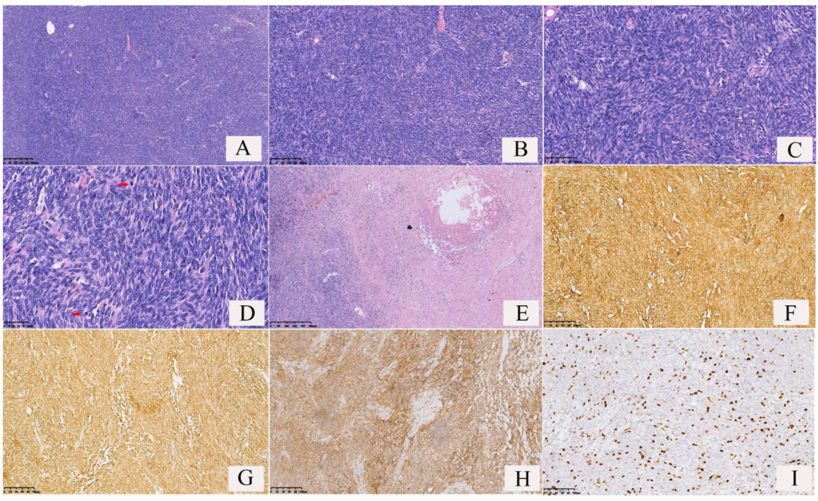 Curroncol 30 00138 g005