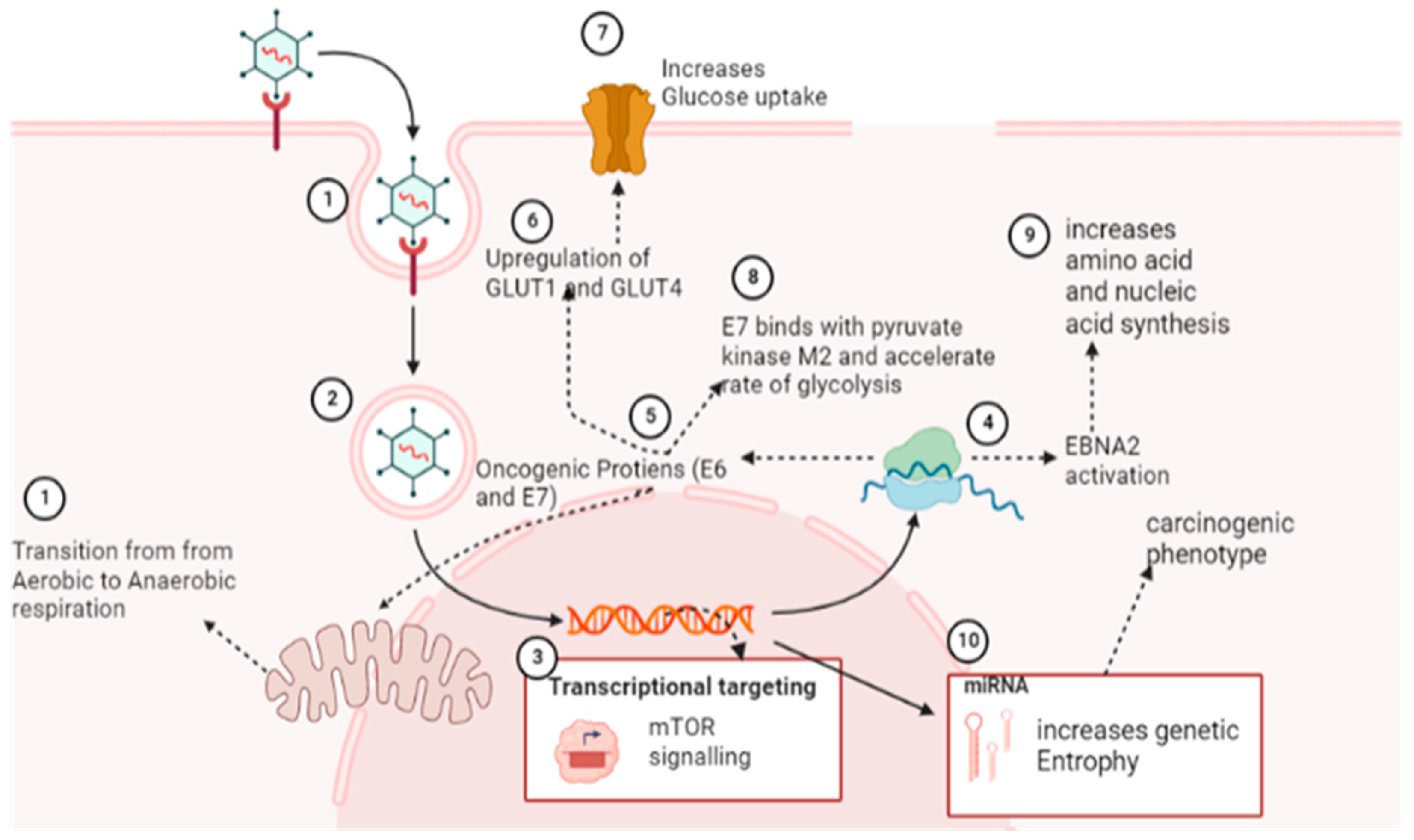 Curroncol 30 00150 g003