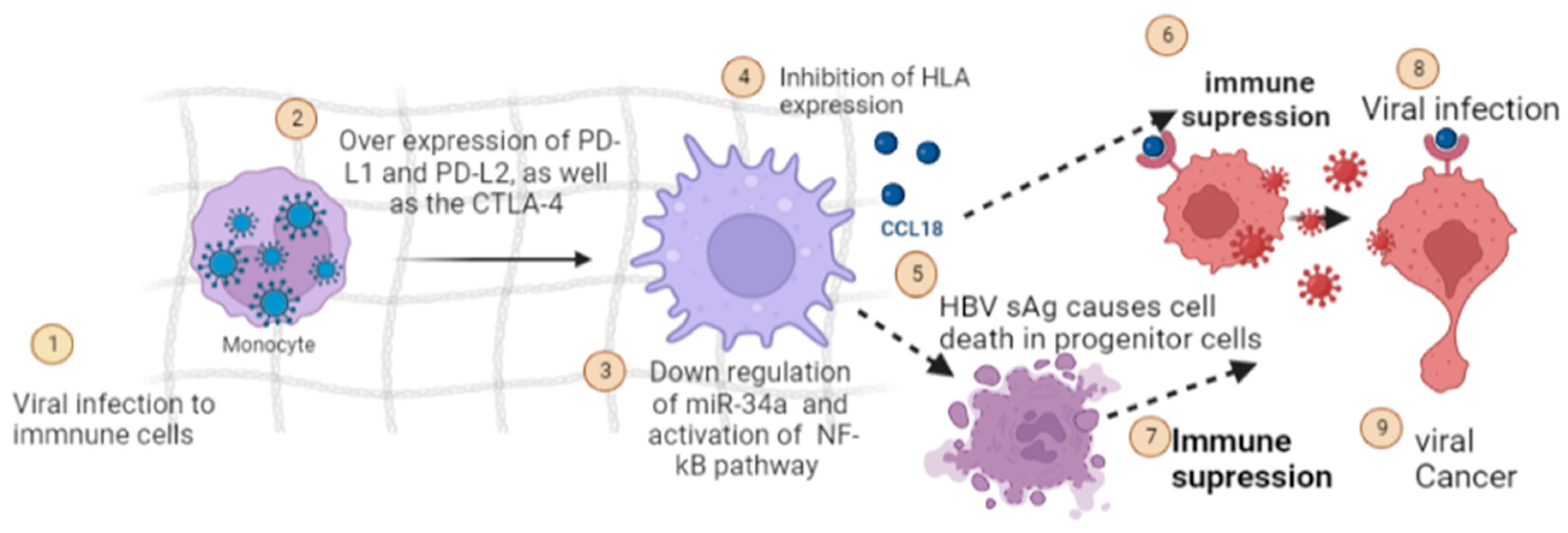 Curroncol 30 00150 g004