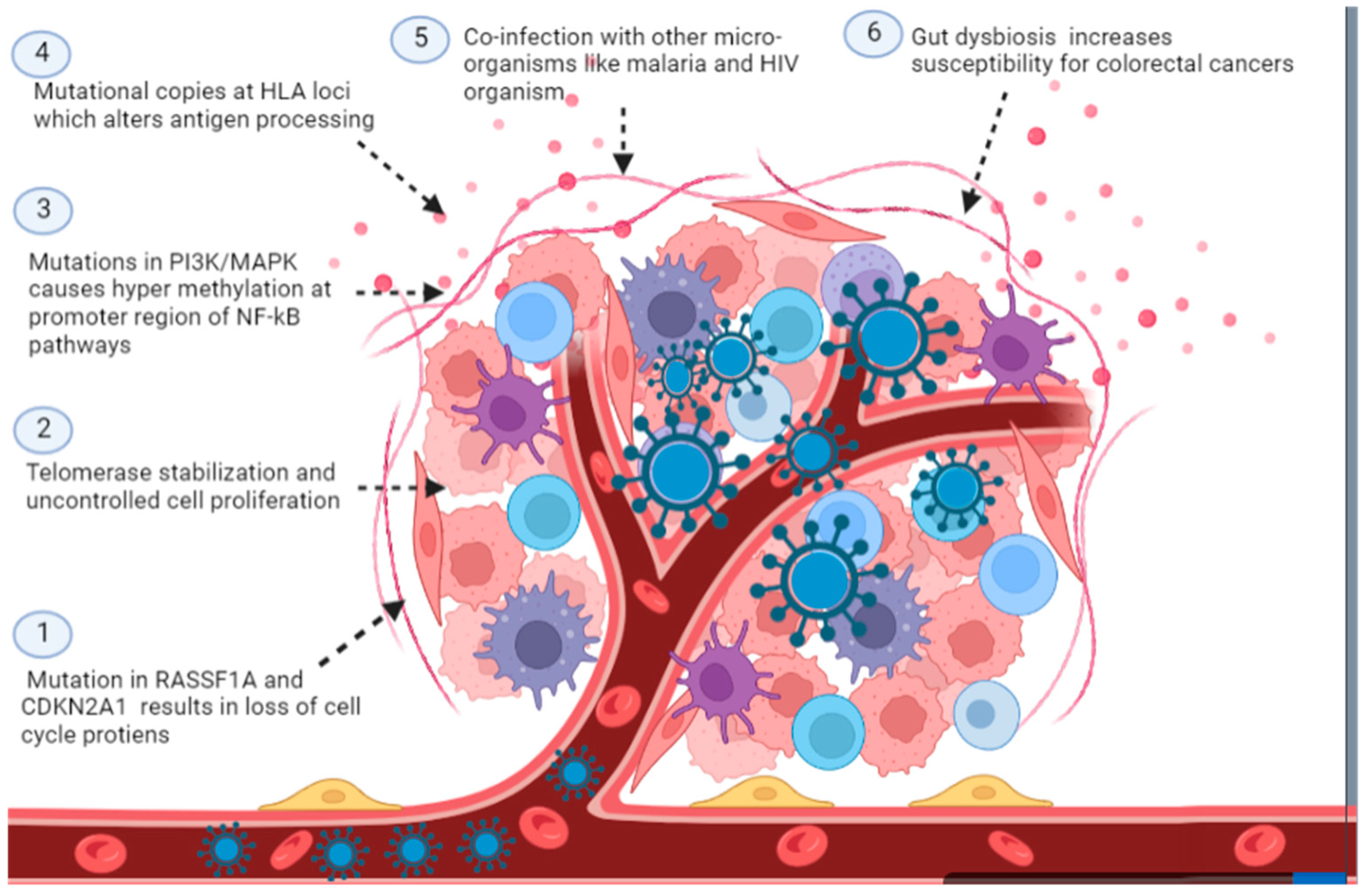 Curroncol 30 00150 g007