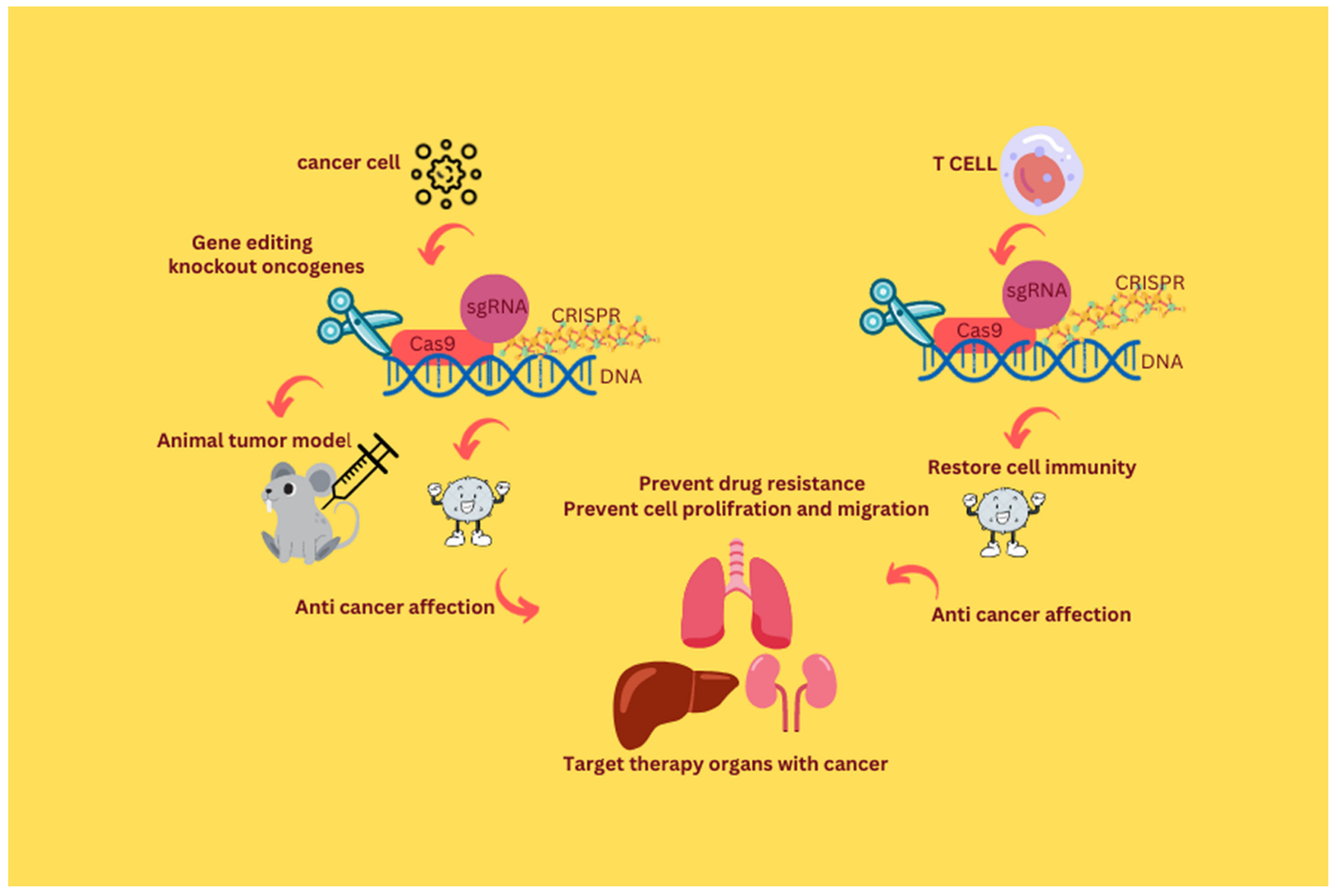 Curroncol 30 00152 g002 Curroncol 30 00152 g002