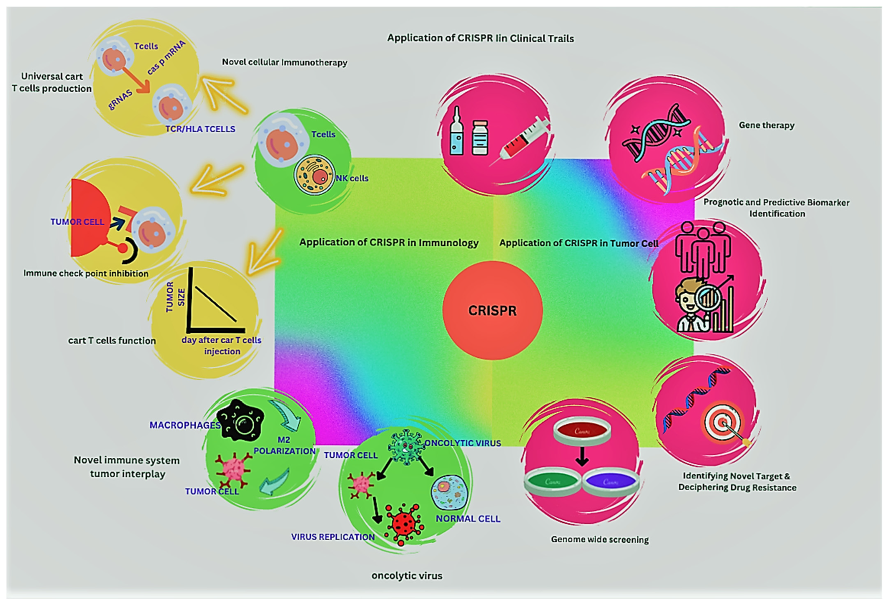 Curroncol 30 00152 g003 Curroncol 30 00152 g003