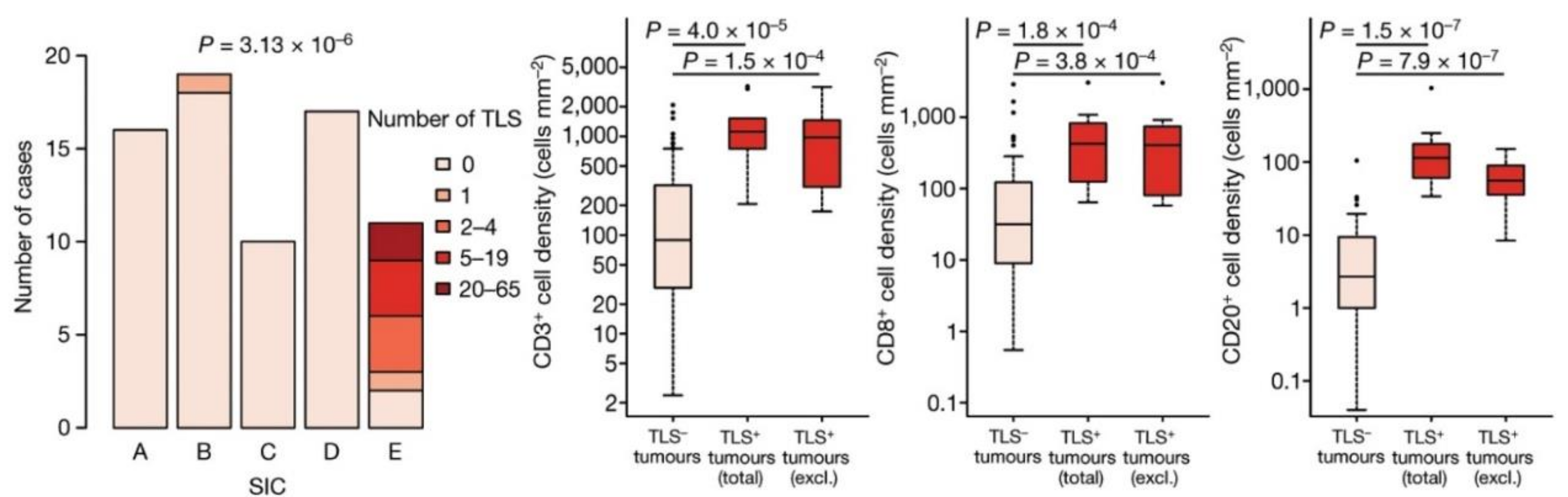 Curroncol 30 00165 g003 Curroncol 30 00165 g003