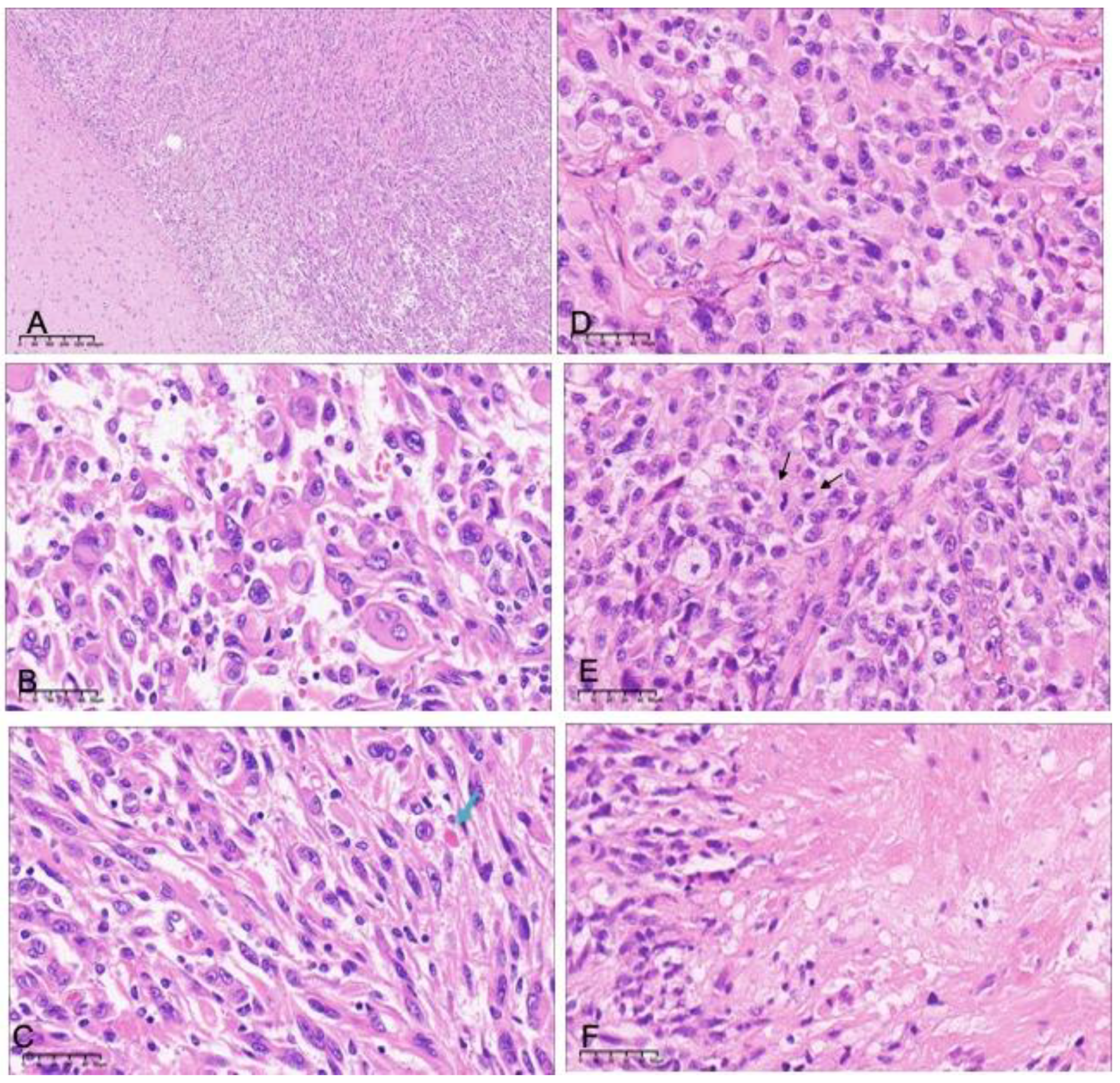 Curroncol 30 00183 g001