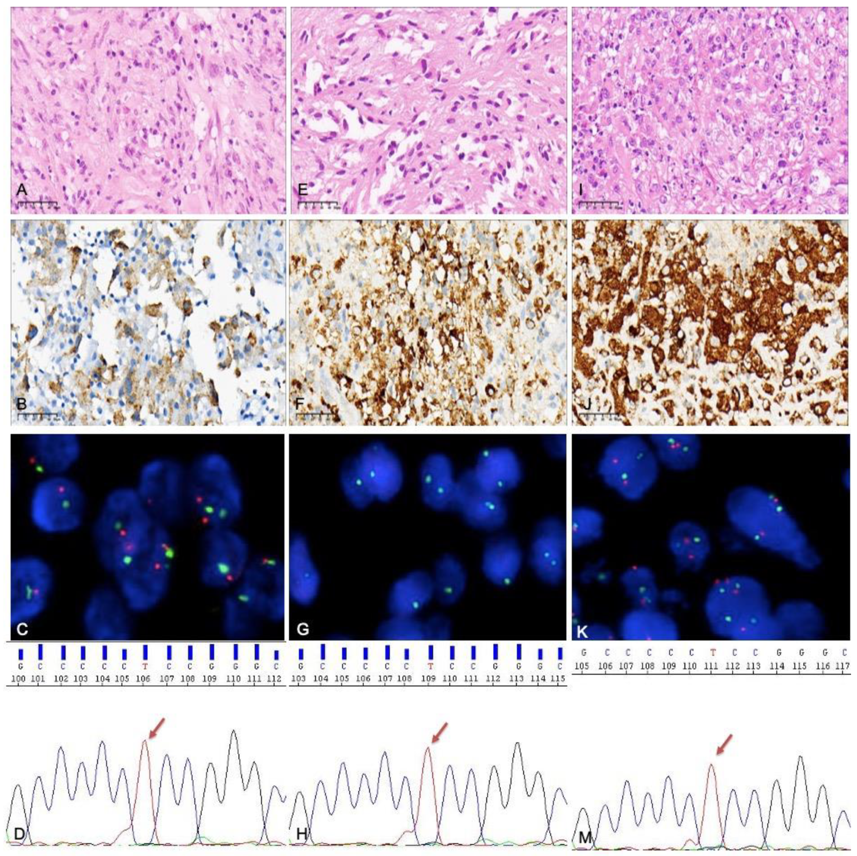 Curroncol 30 00183 g003