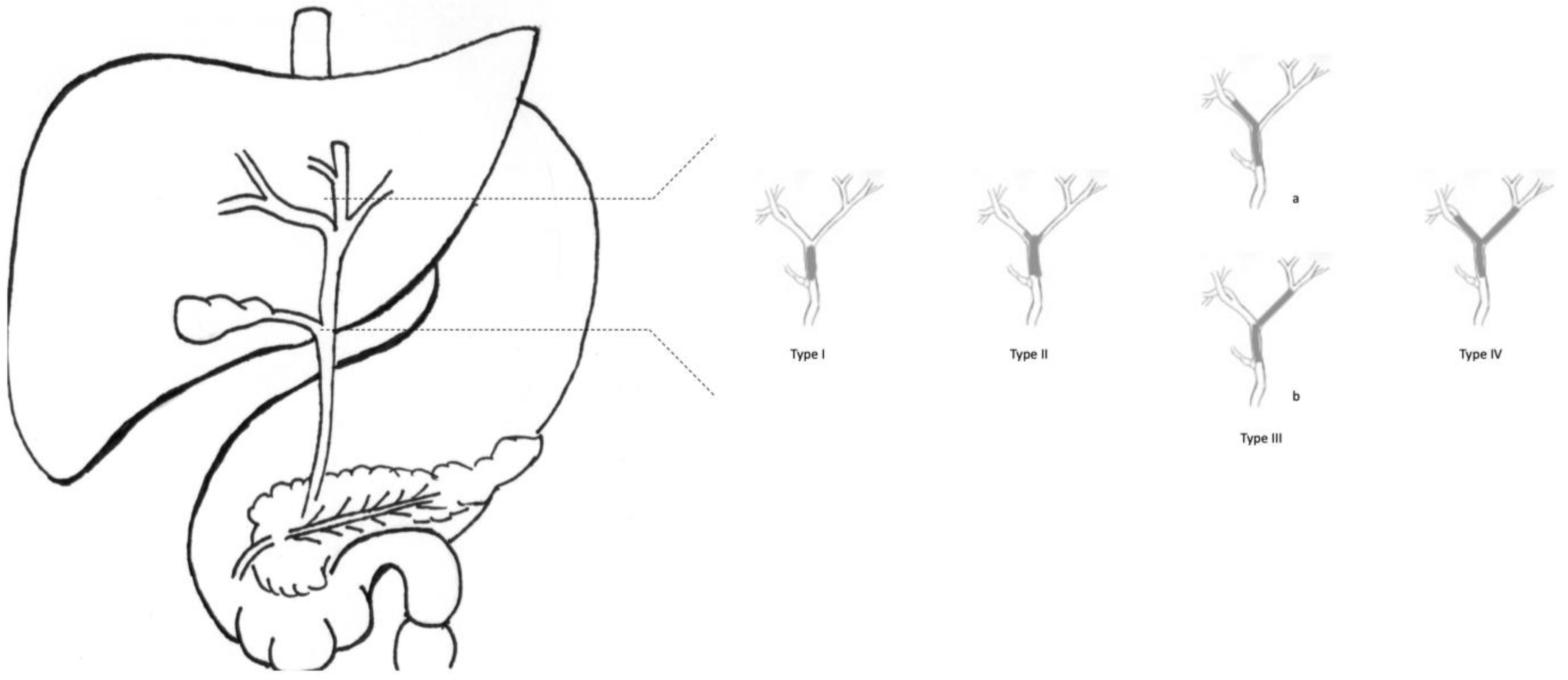 Curroncol 30 00225 g001