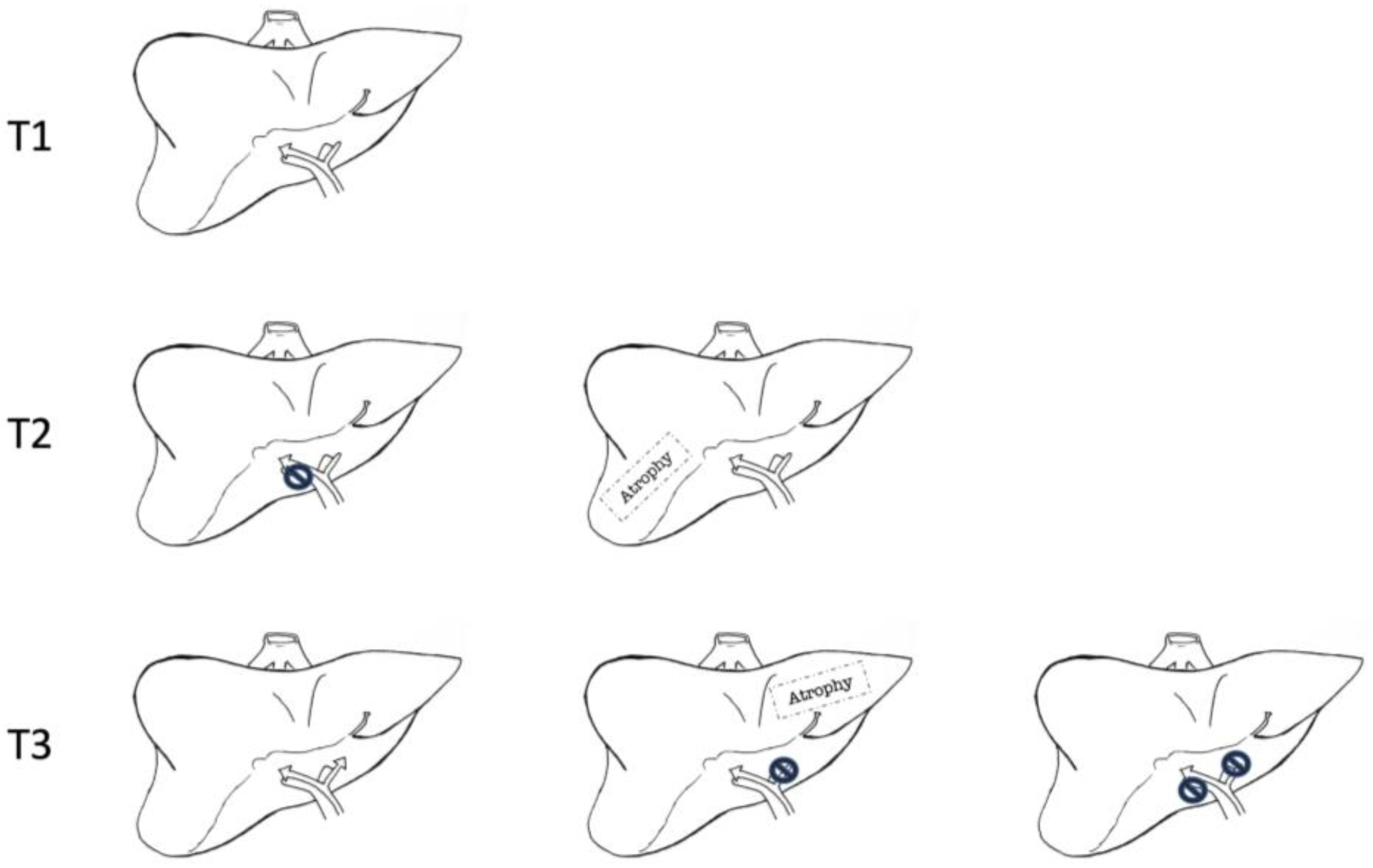 Curroncol 30 00225 g002