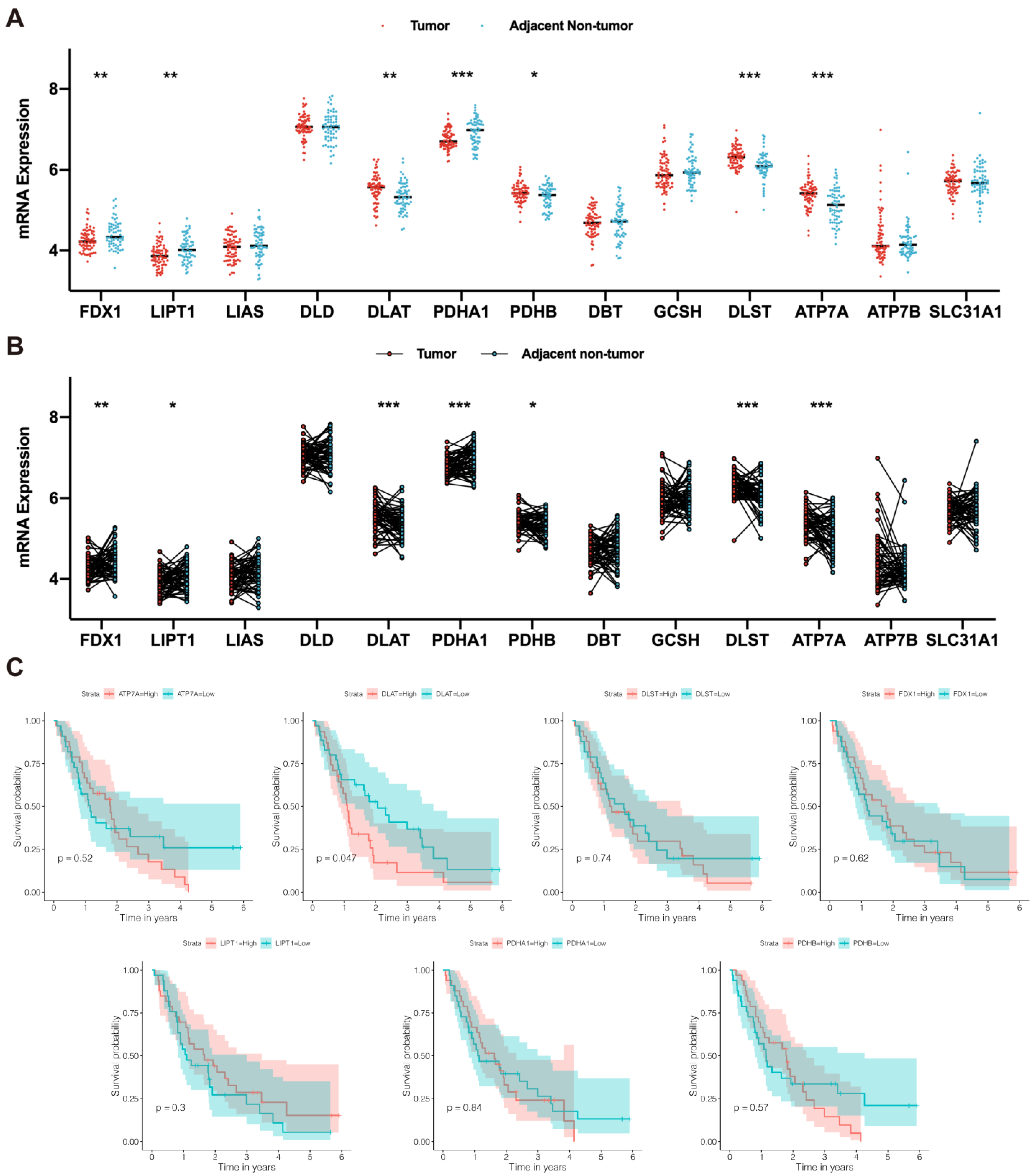 Curroncol 30 00228 g002 Curroncol 30 00228 g002