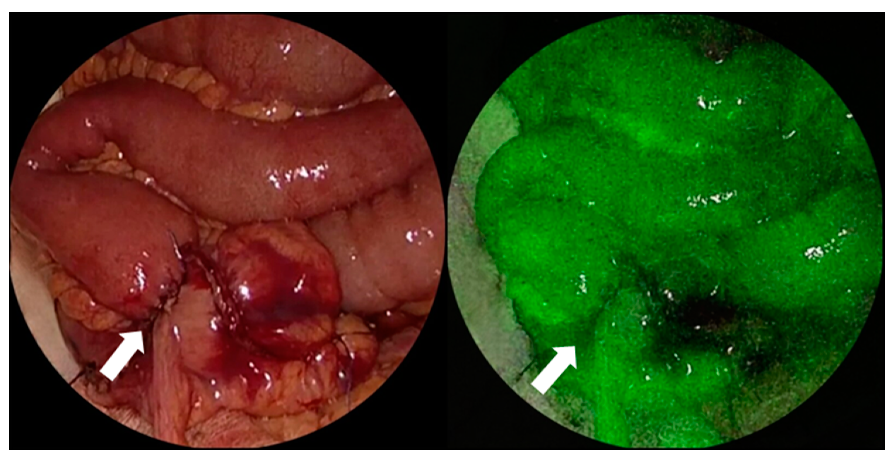 Curroncol 30 00236 g002